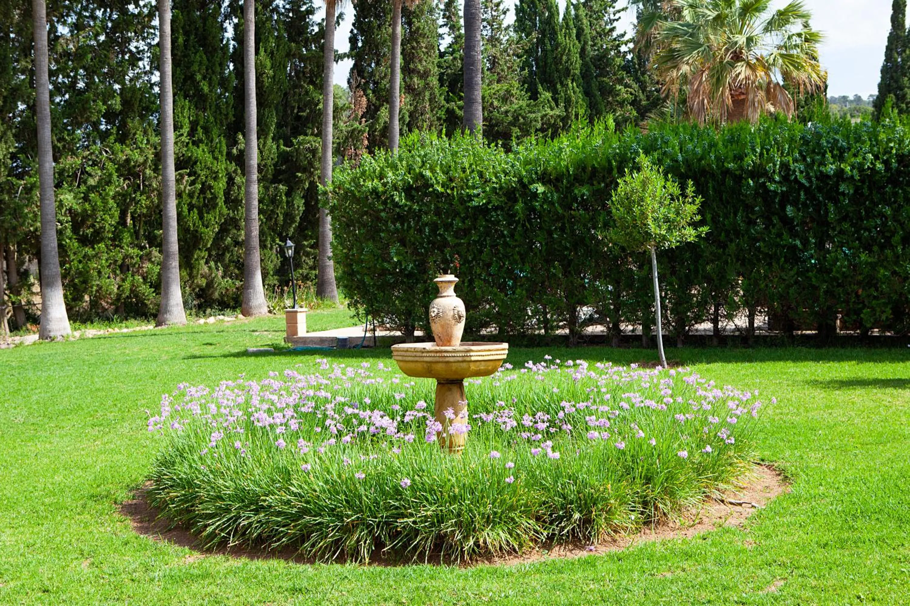 Natural landscape in S'Hort de Son Caulelles - Adults Only