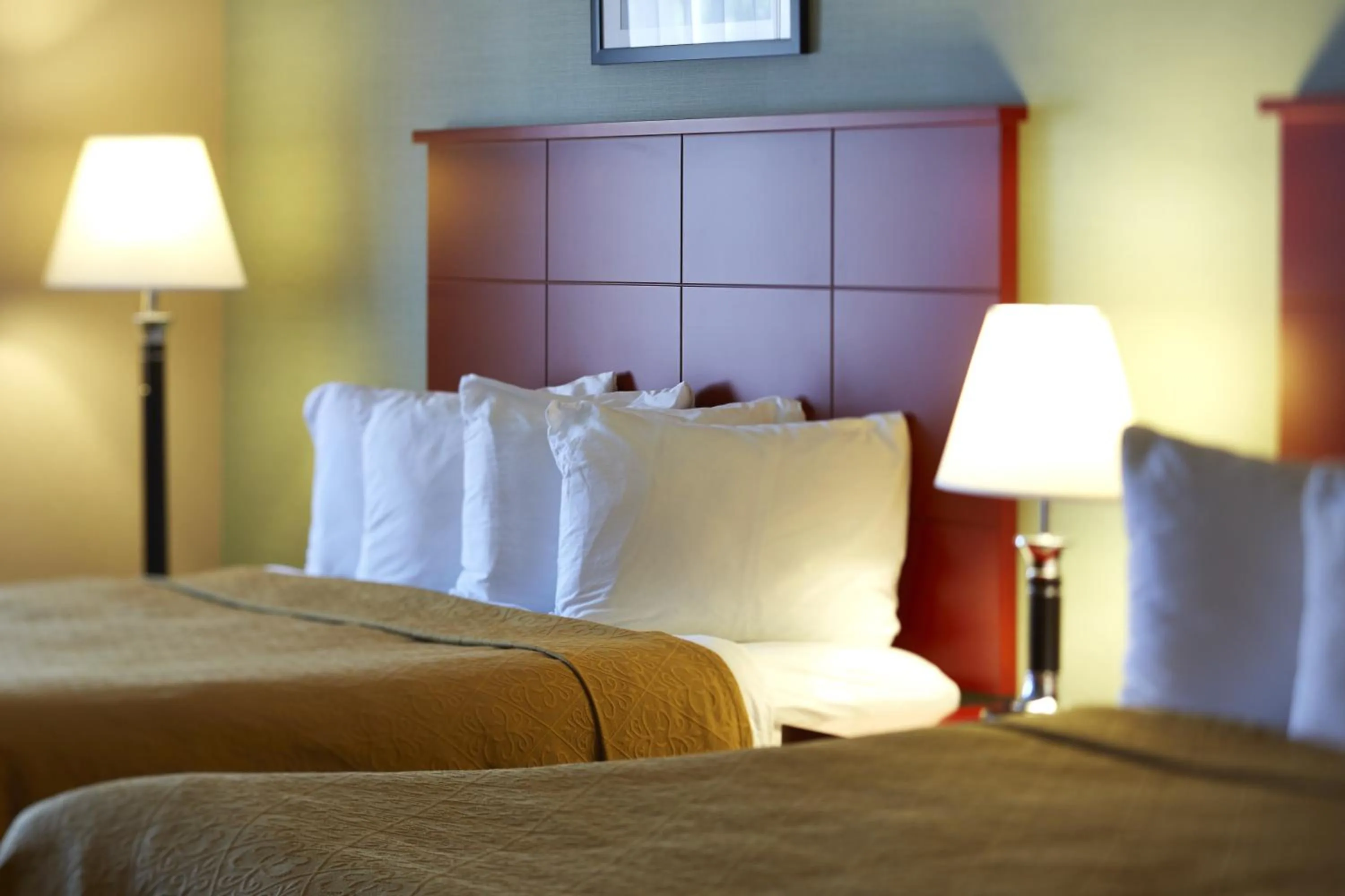 Bedroom in Quality Inn Southampton