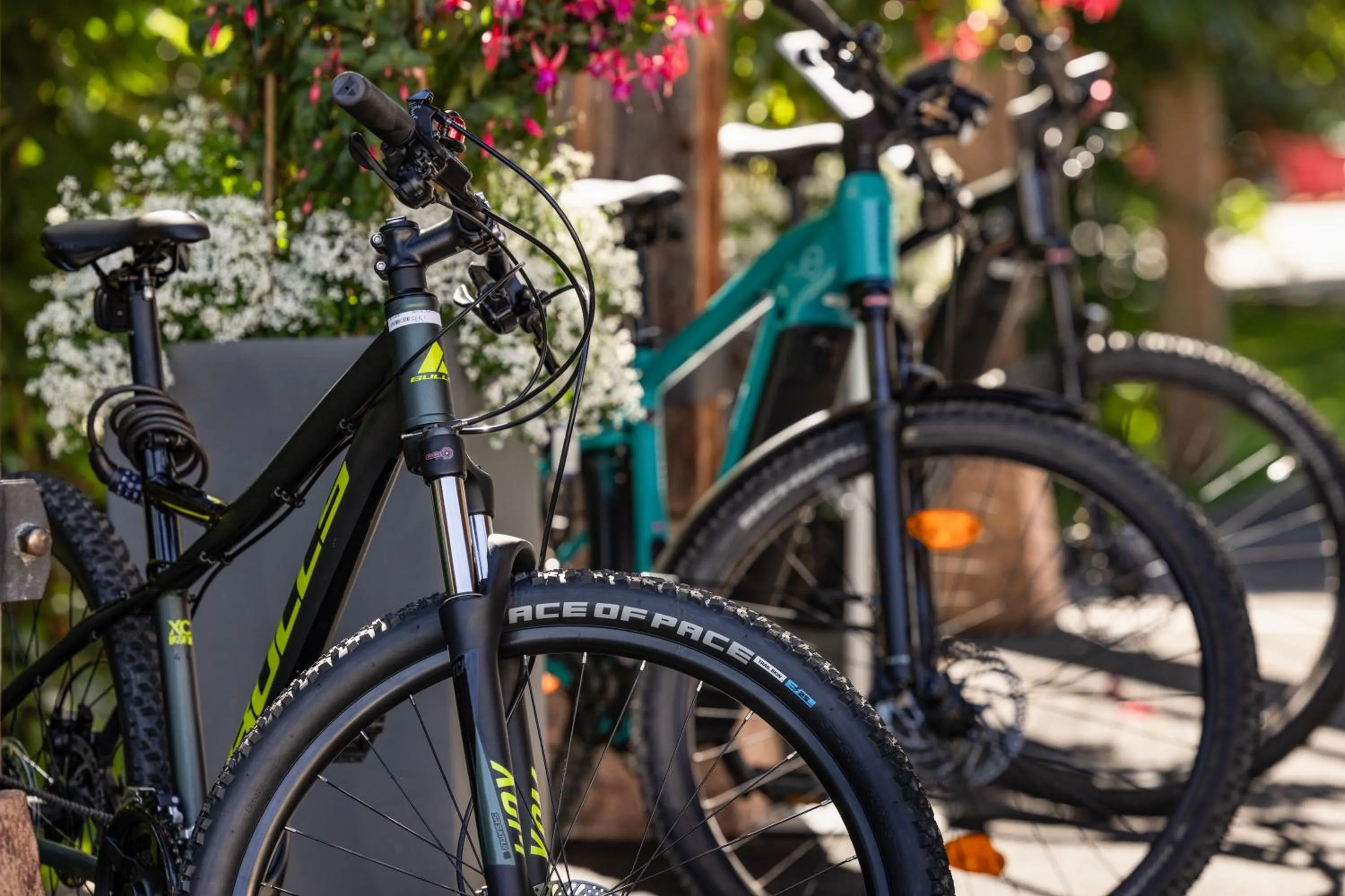 Cycling in Alm- & Wellnesshotel Alpenhof