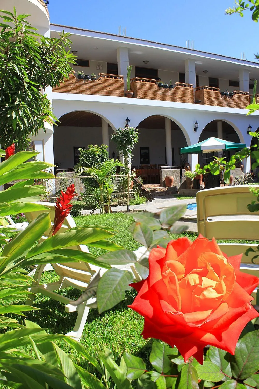 Garden in Hotel Alegria Nasca