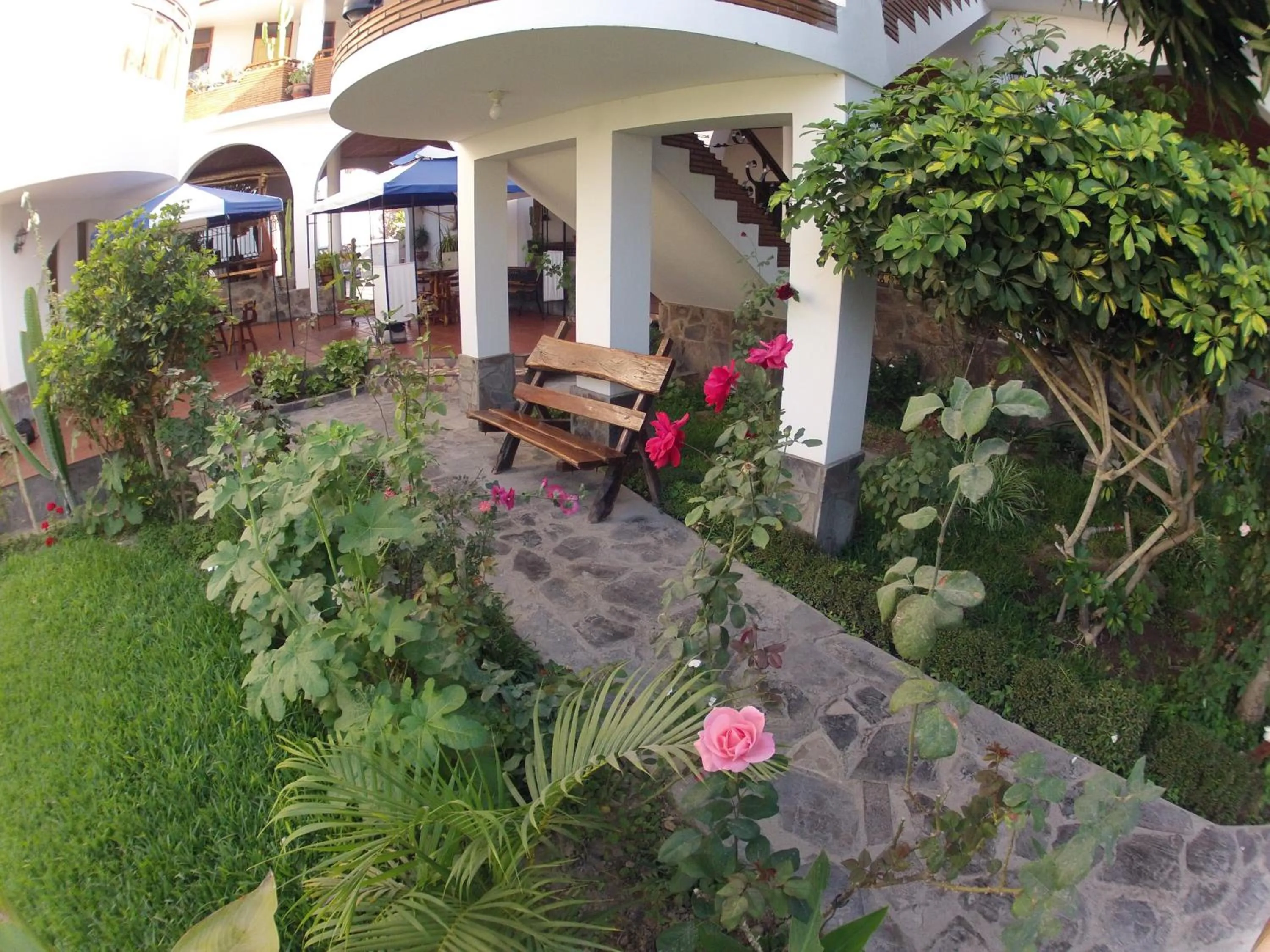 Garden in Hotel Alegria Nasca