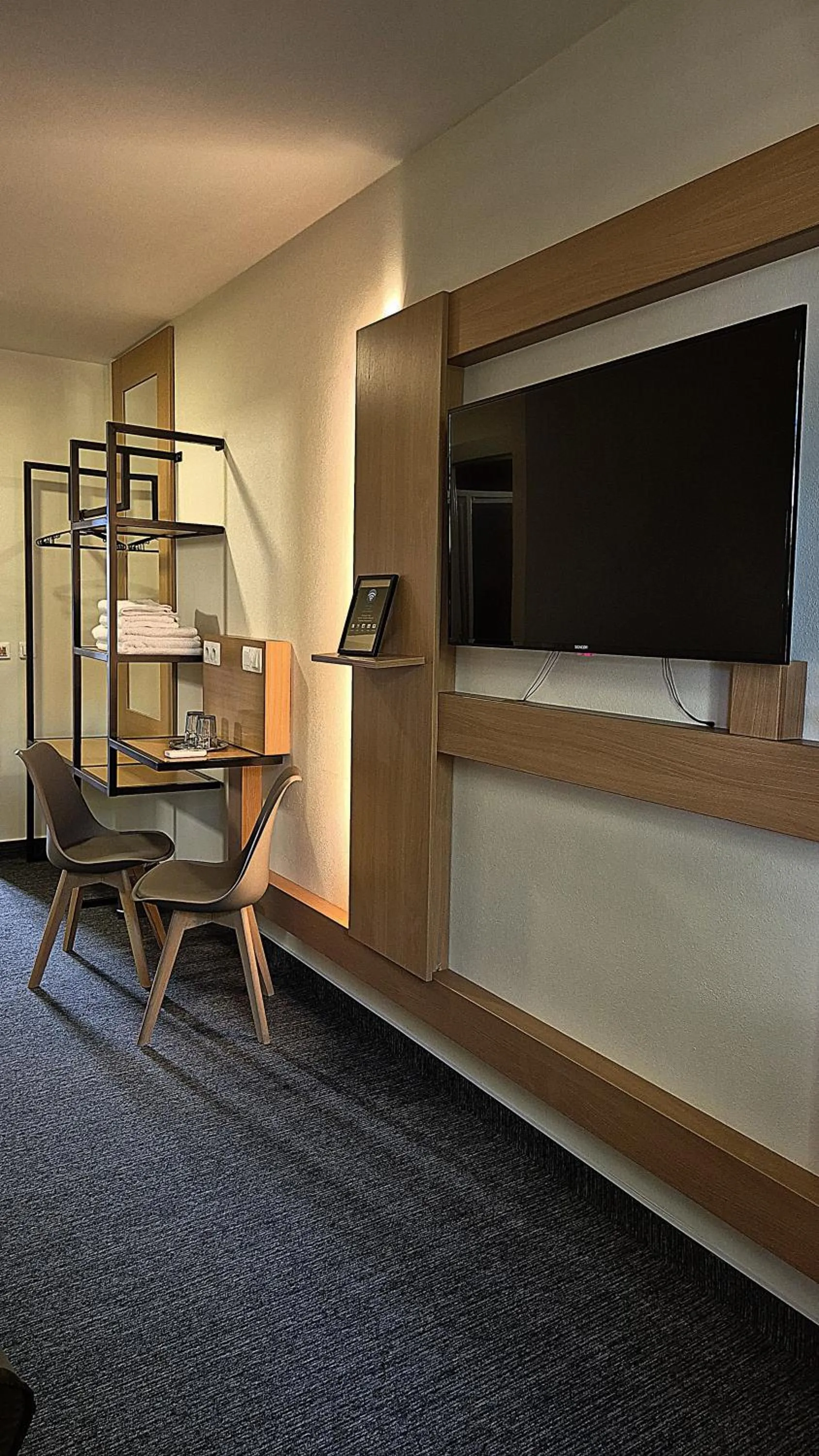 TV and multimedia in Penzion Nevada