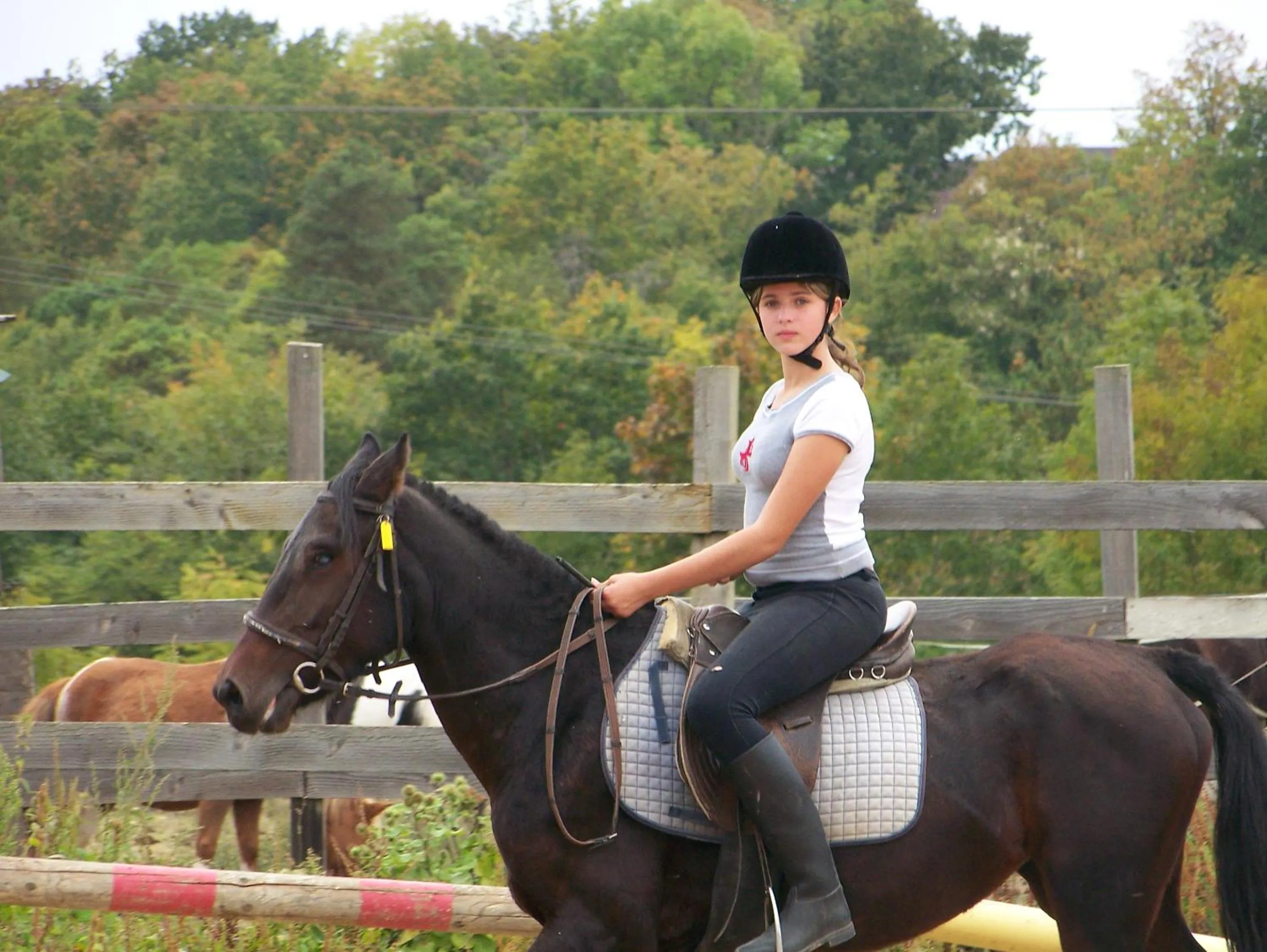 Hôtel restaurant les Templiers