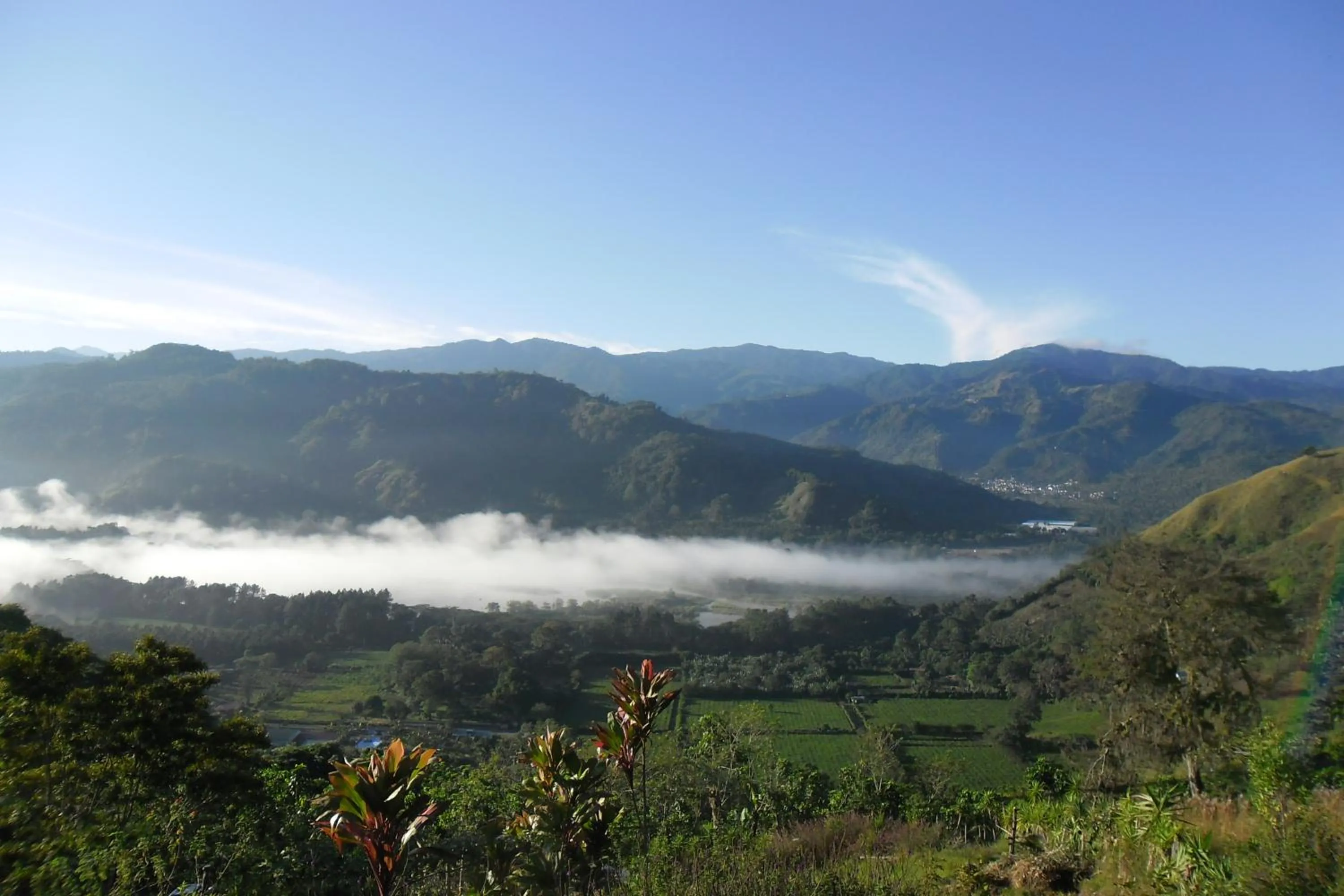 View (from property/room) in Rinconcito Verde