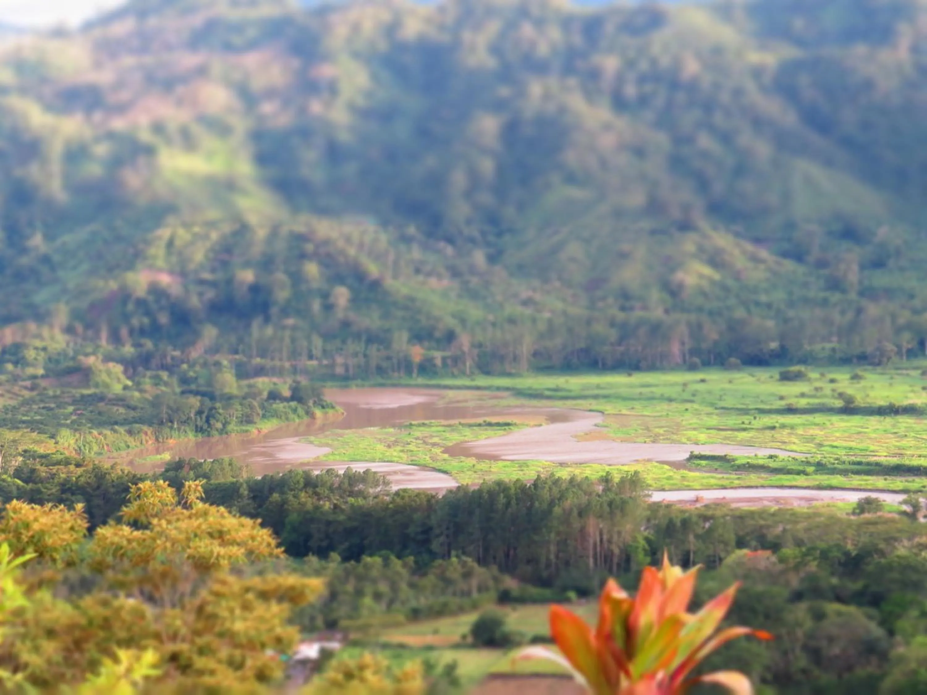 View (from property/room) in Rinconcito Verde