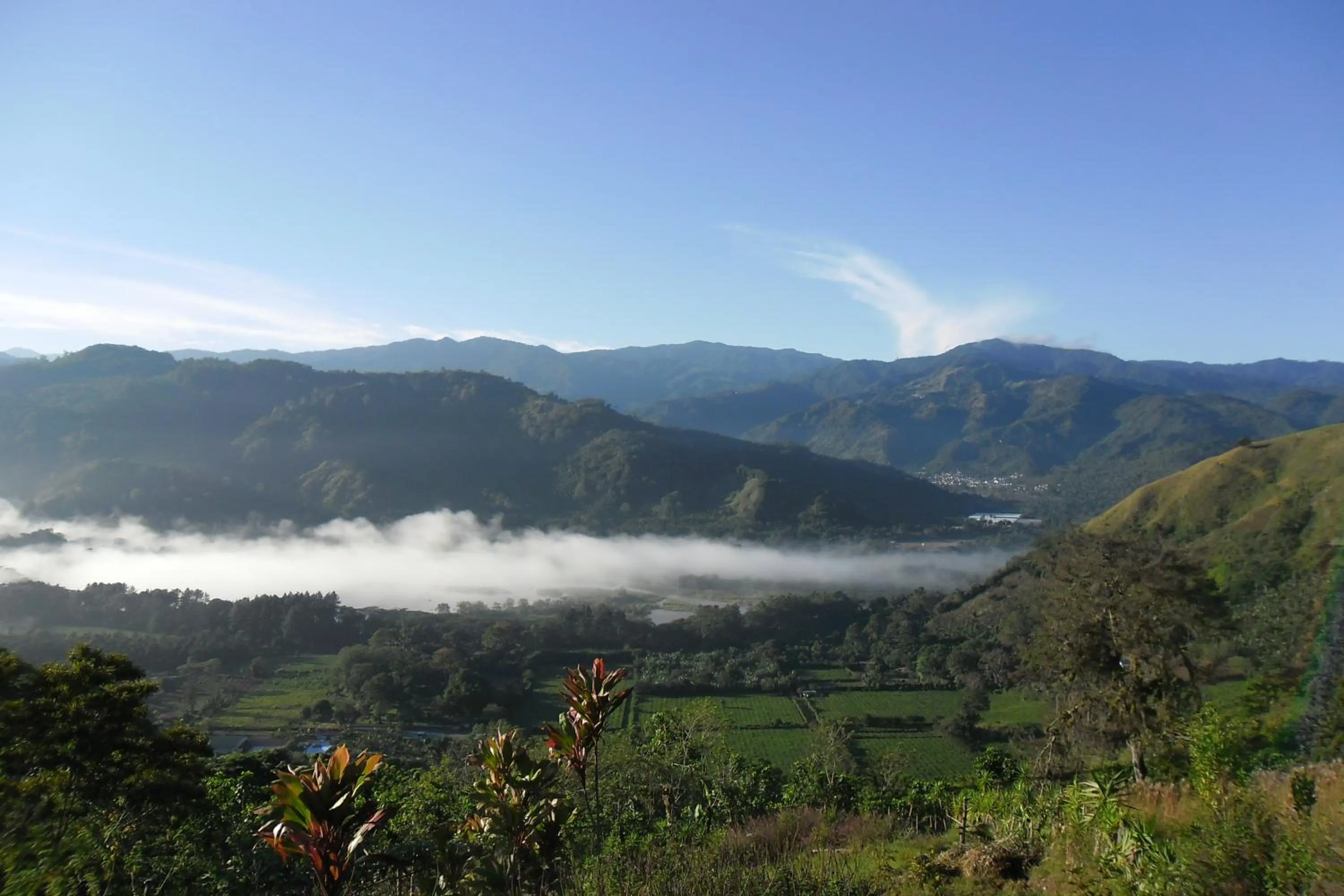 View (from property/room) in Rinconcito Verde