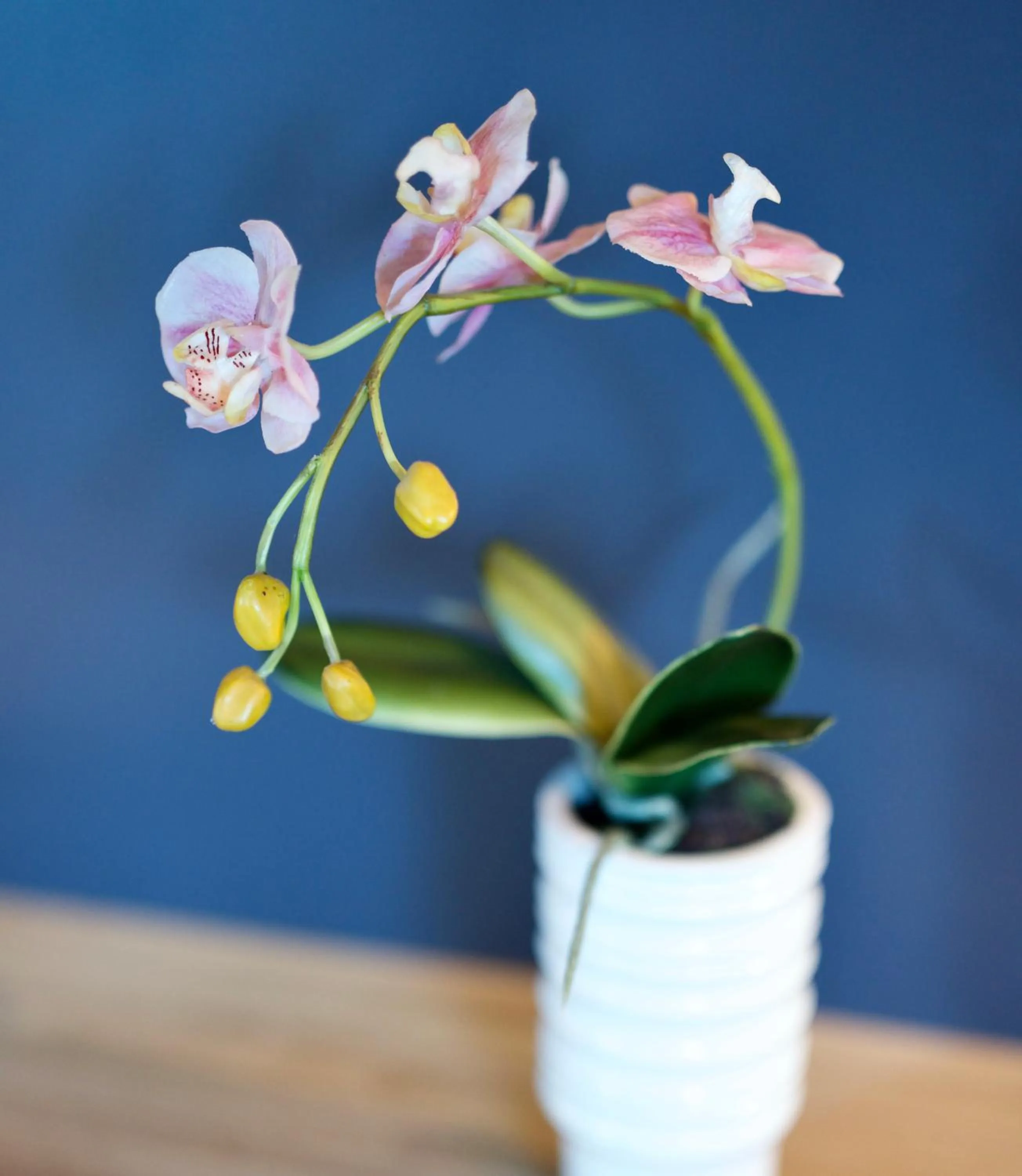 Den Japanske Have B & B