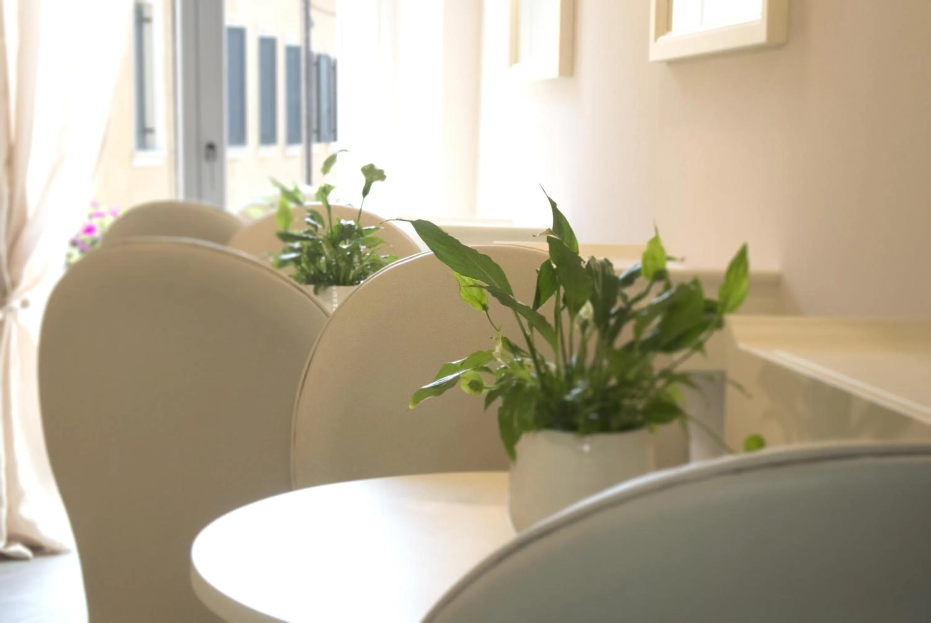 Restaurant/places to eat in B&B Verona Centro