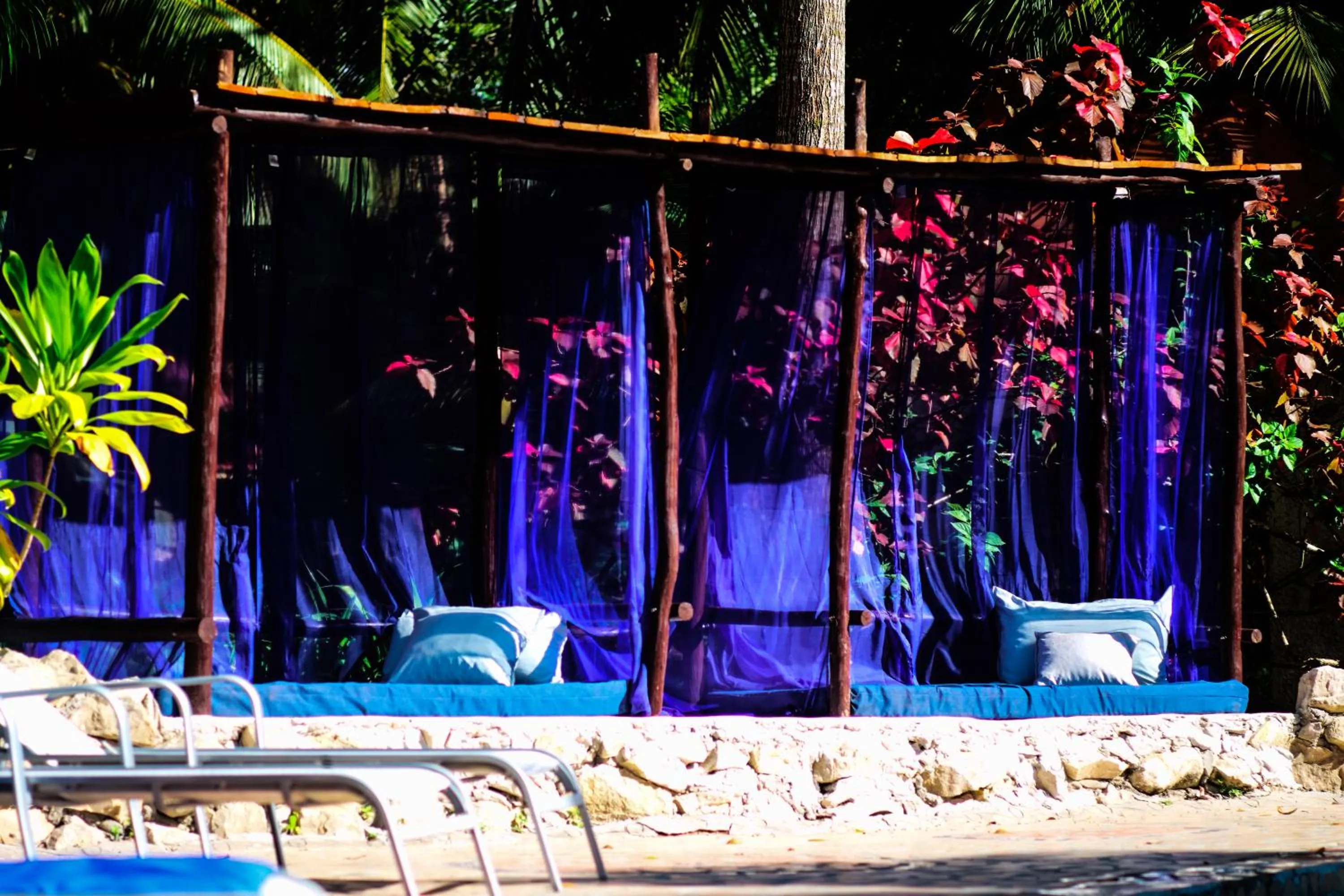 Garden in ABEZZA Resort And Adventure Spa