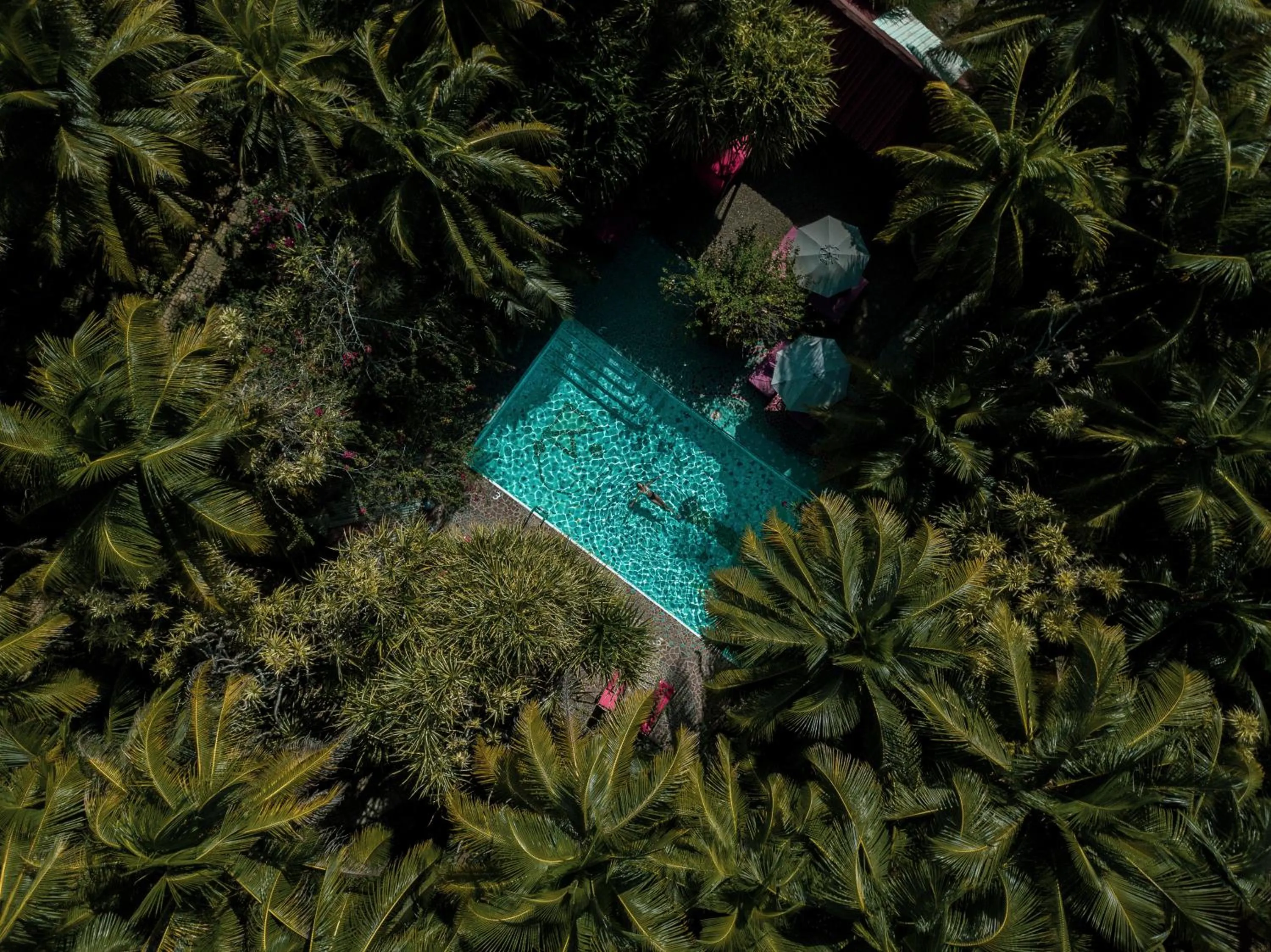 Garden in ABEZZA Resort And Adventure Spa