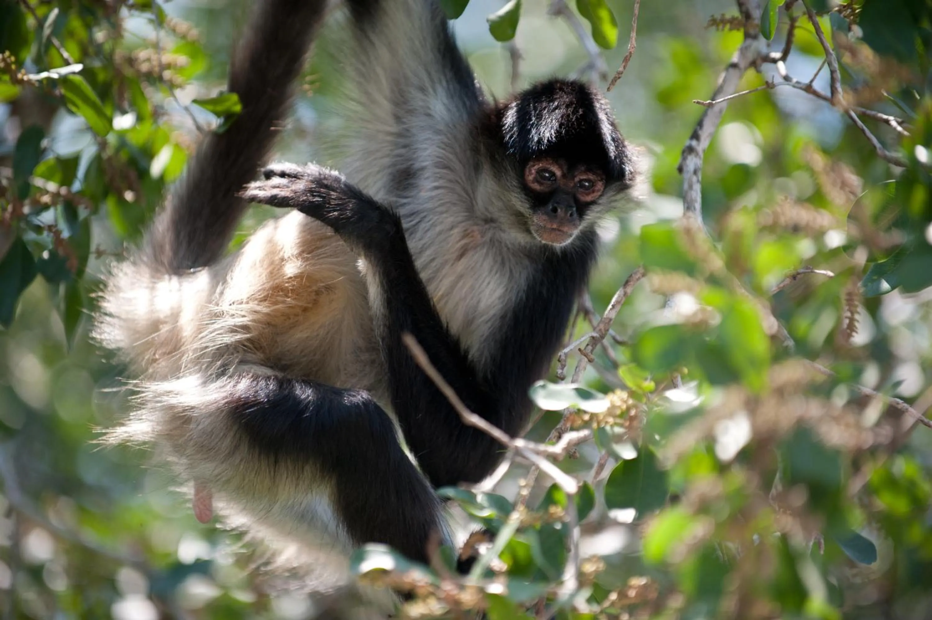 Off site in ABEZZA Resort And Adventure Spa