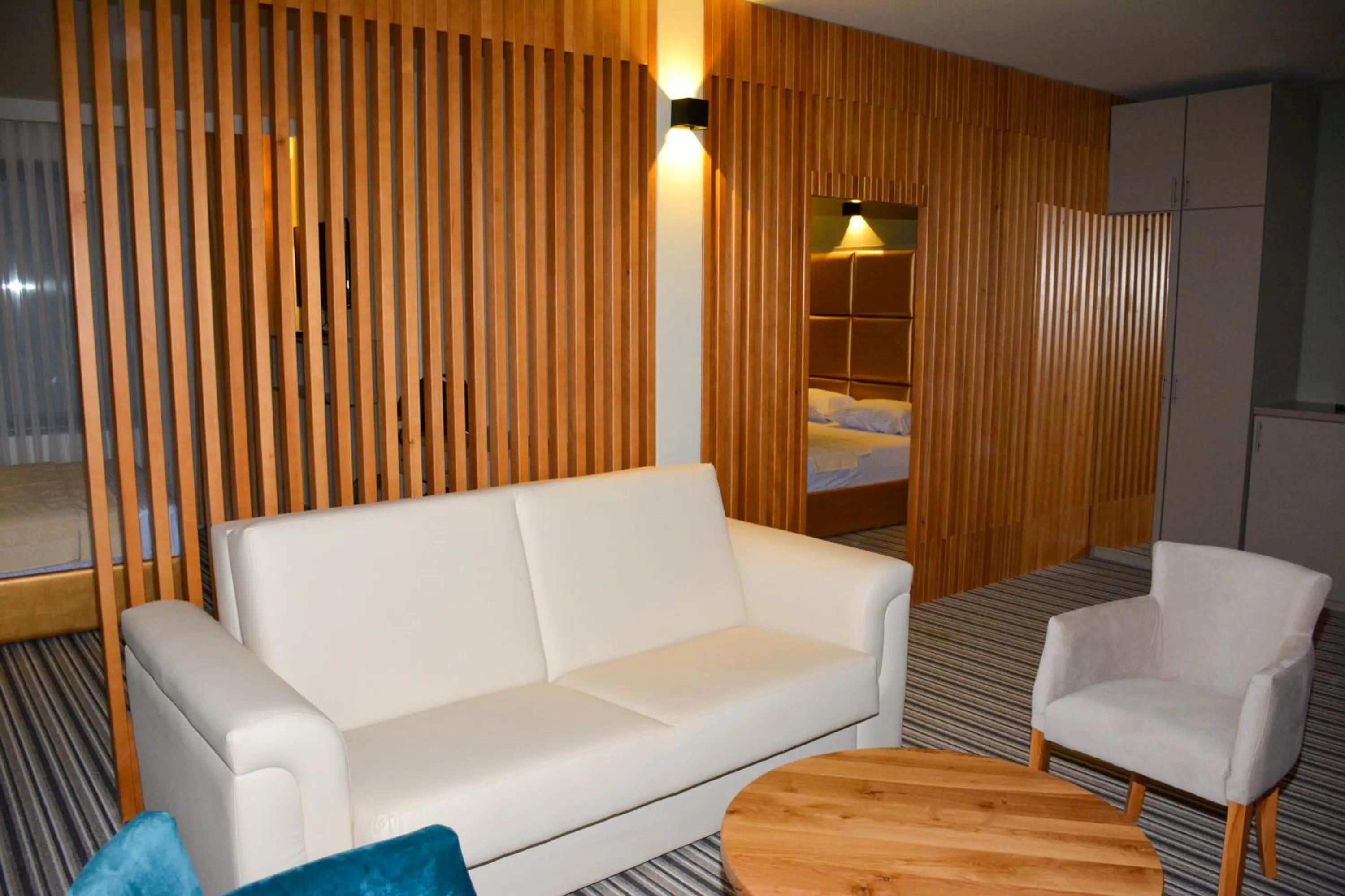 TV and multimedia in AM Palace