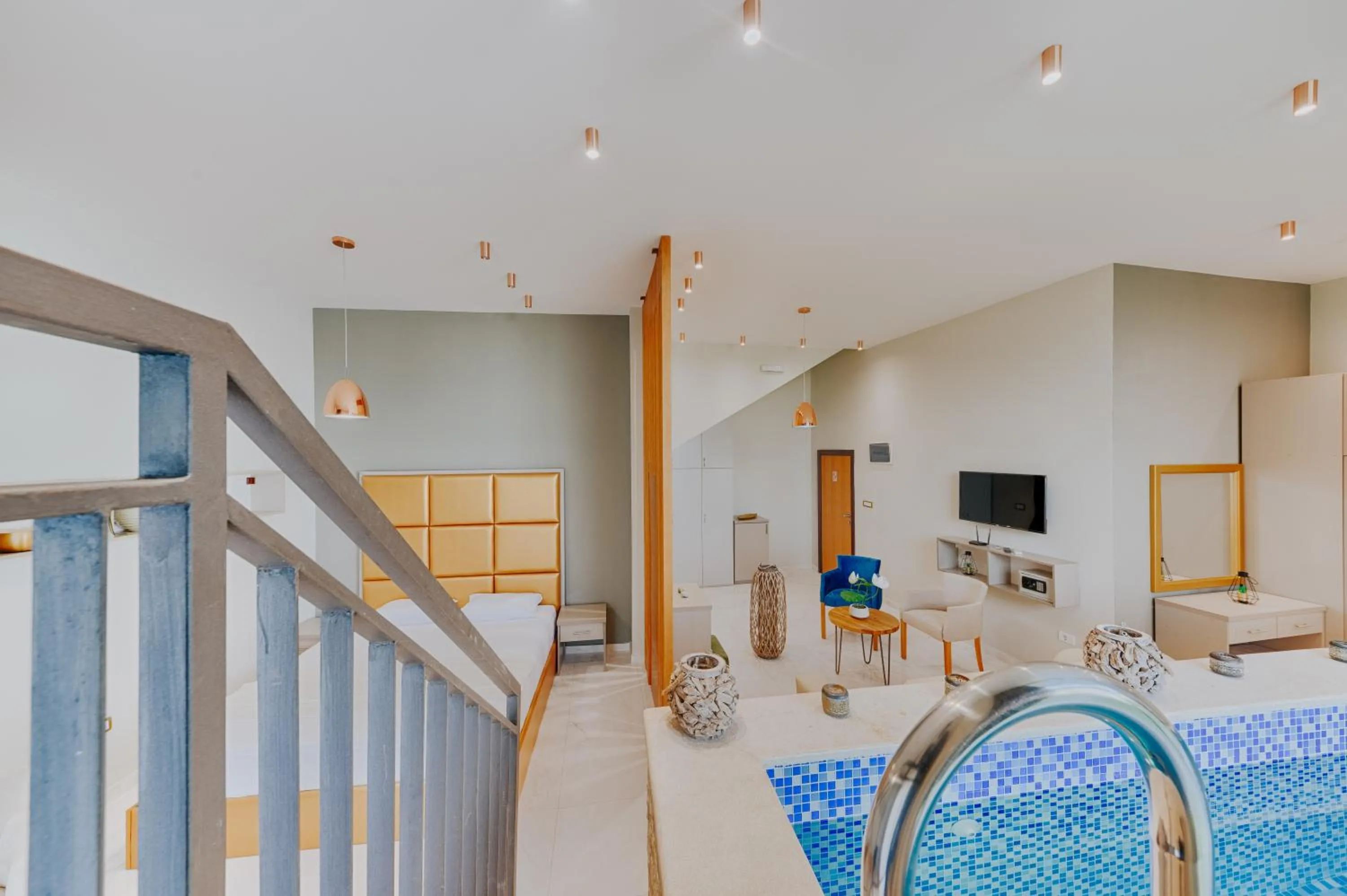 TV and multimedia in AM Palace