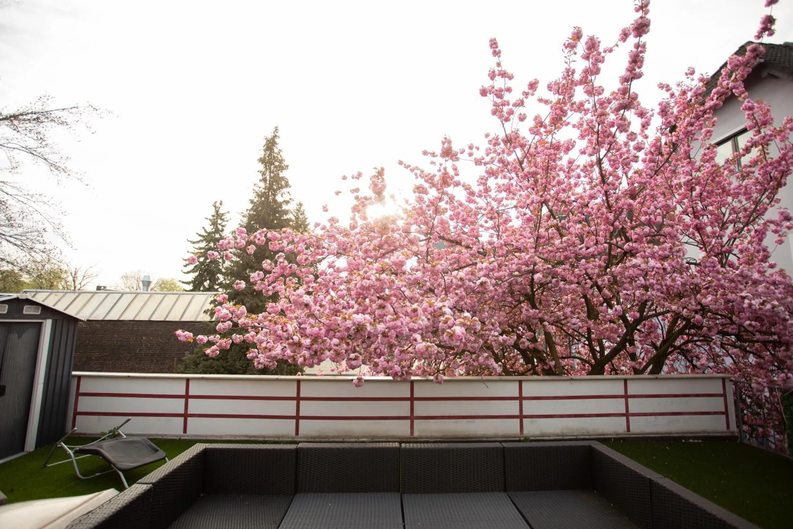 Garden in Hotel Am Sportpark