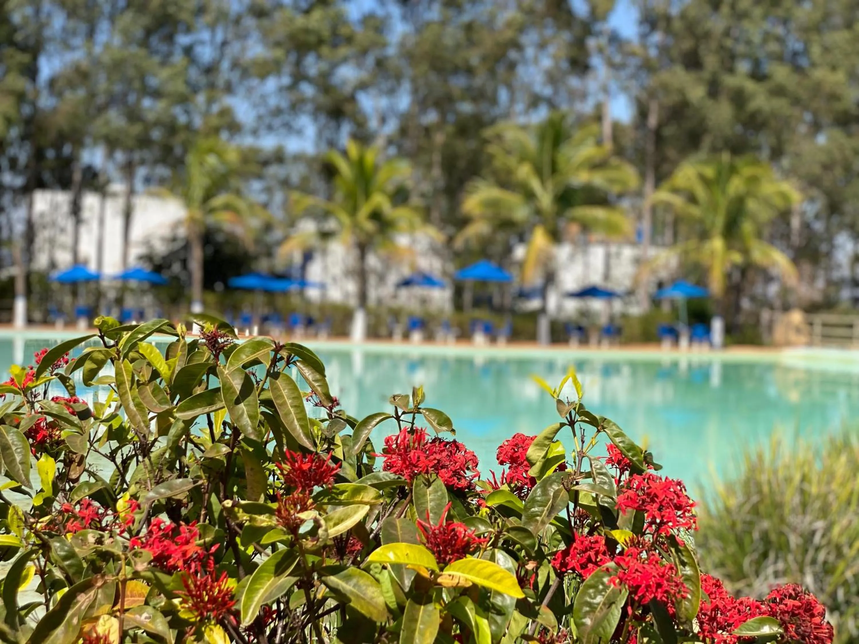 Pool view in Mirante Praia Hotel