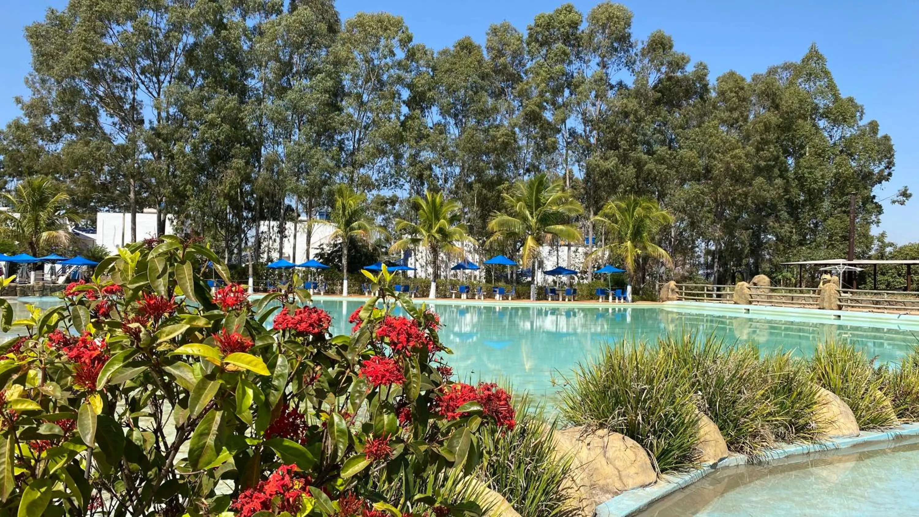 Garden in Mirante Praia Hotel