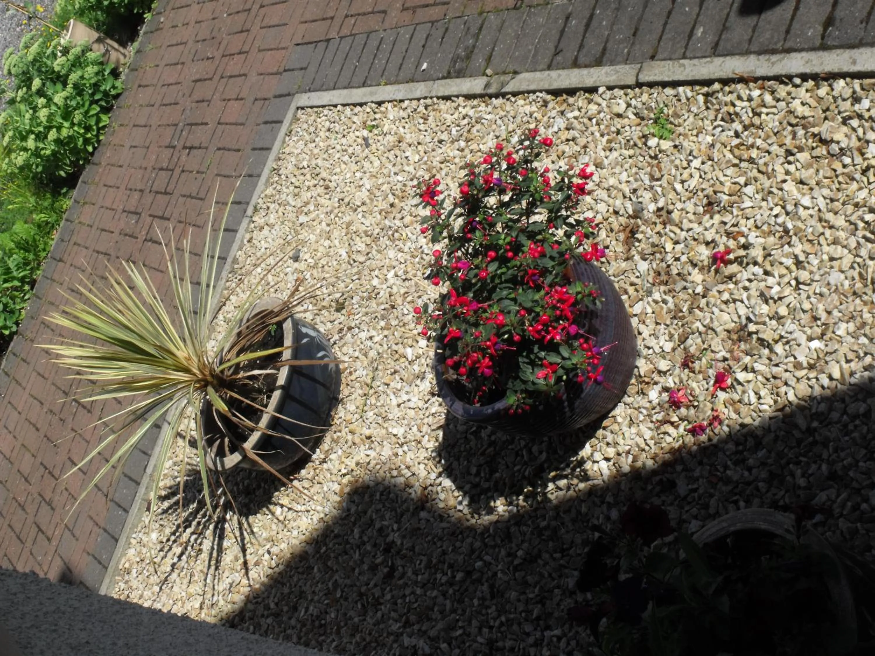 Garden in Arisaig Guest House
