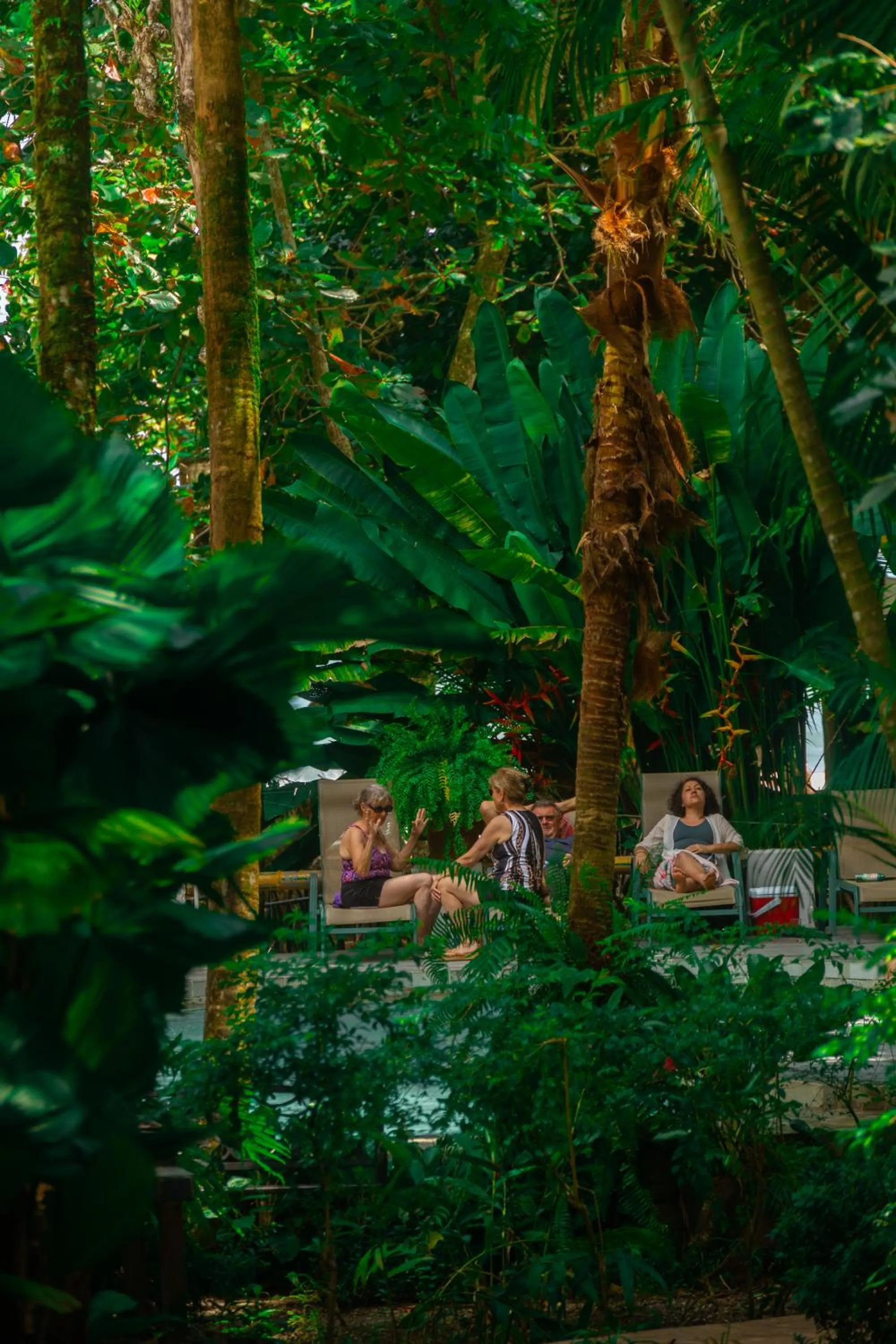 Swimming pool in Oceanfront Hotel Verde Mar direct access to the beach