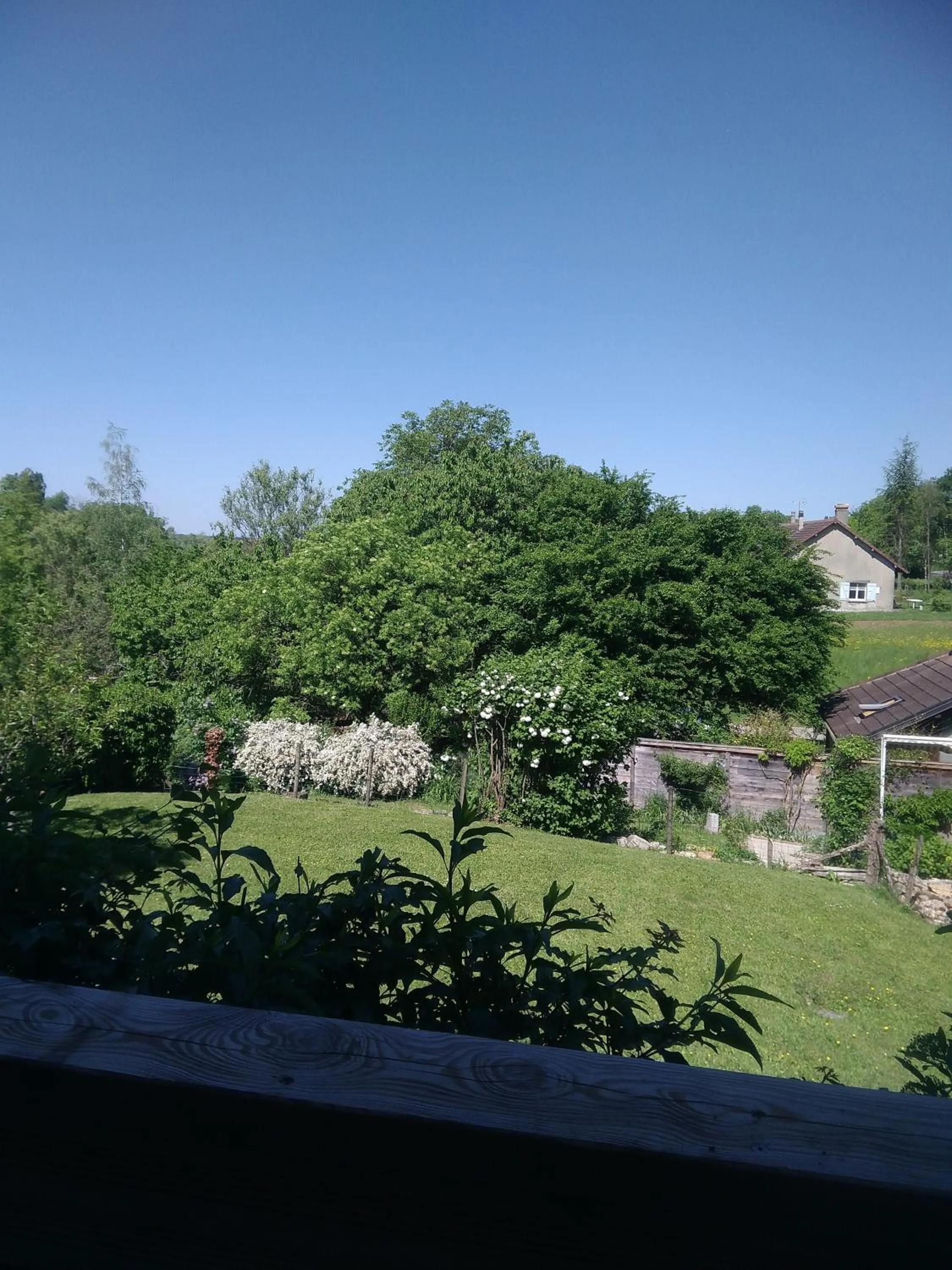 Garden in La Pie qui Chante