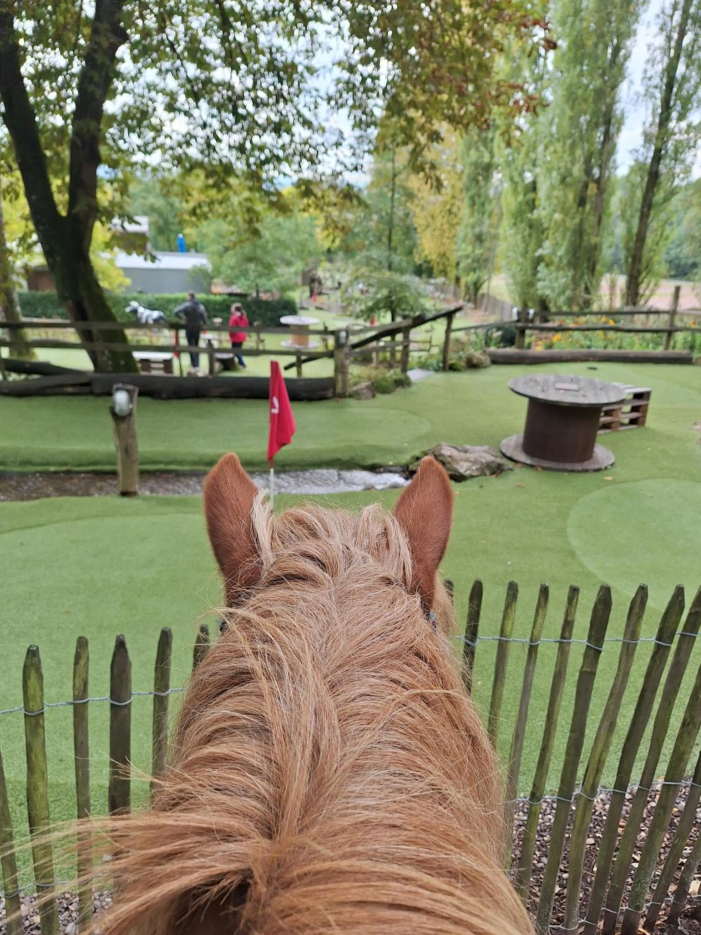 Hotel Restaurant Litermont