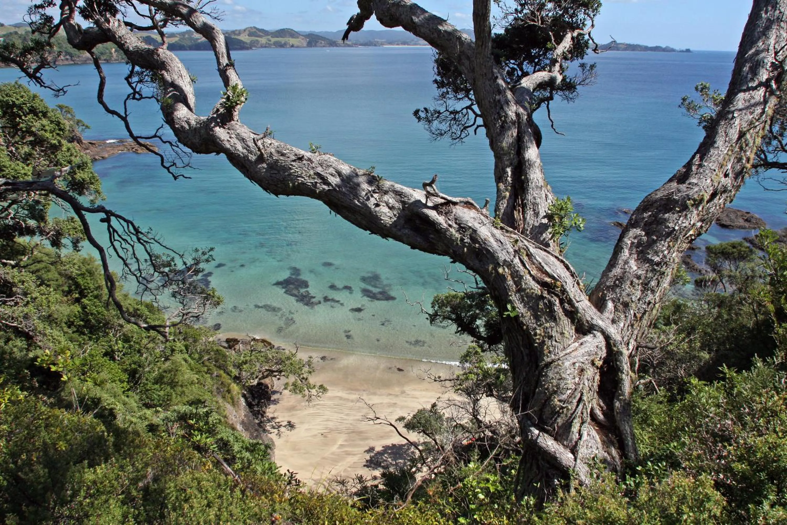 Day in Quality Hotel Oceans Tutukaka