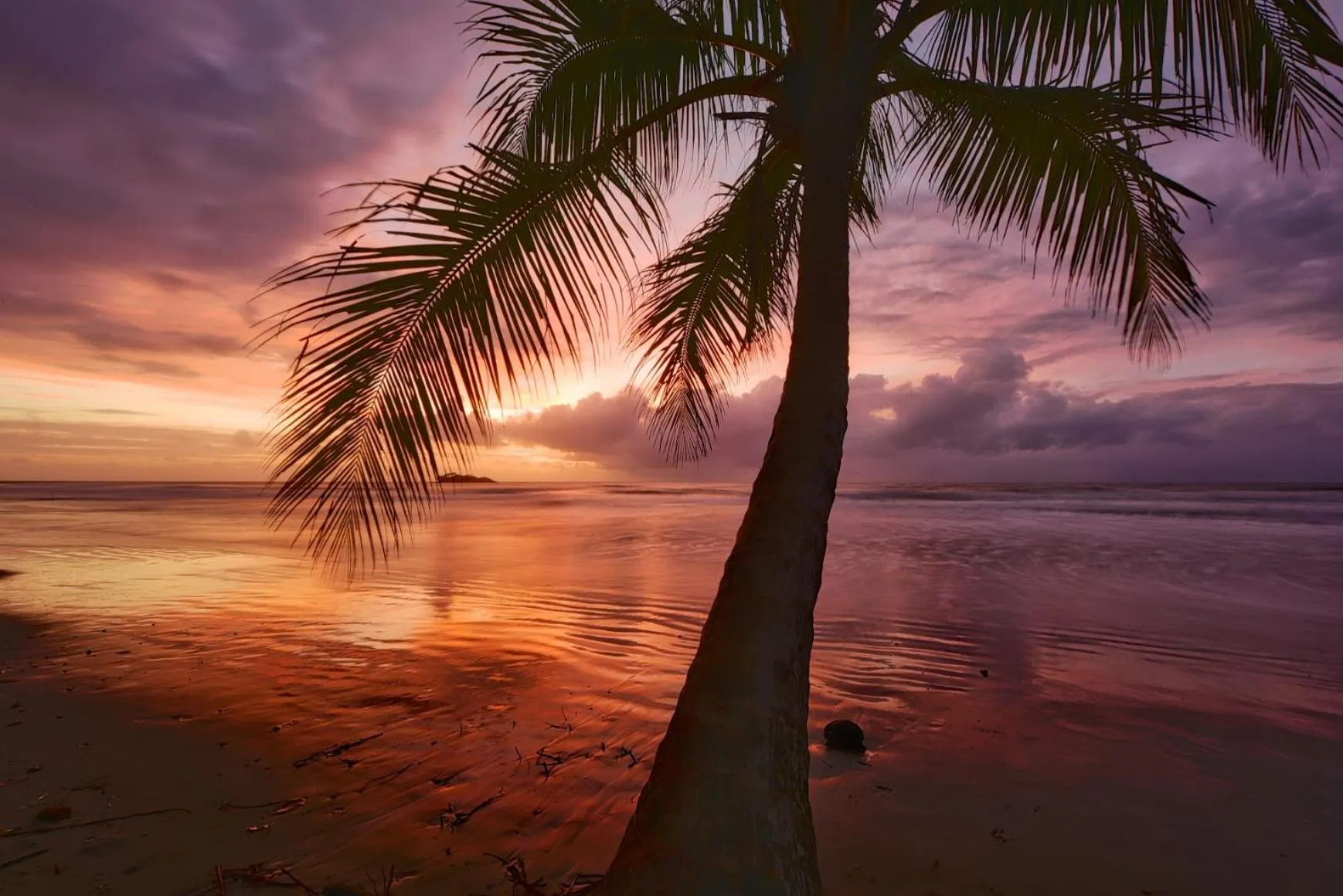 Natural landscape in Thornton Beach Bungalows Daintree