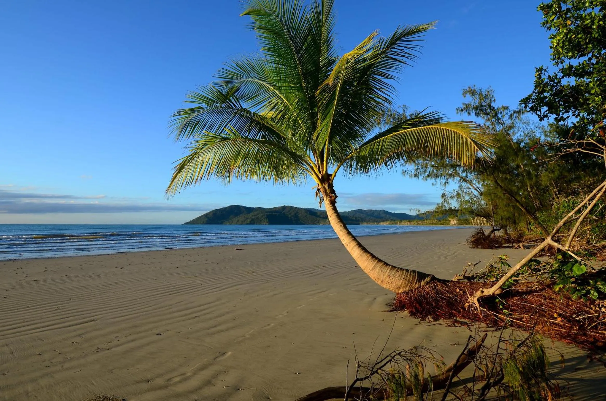 Beach in Thornton Beach Bungalows Daintree