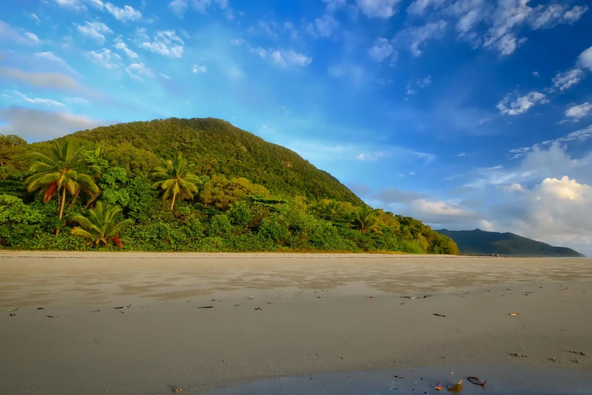 Natural landscape in Thornton Beach Bungalows Daintree