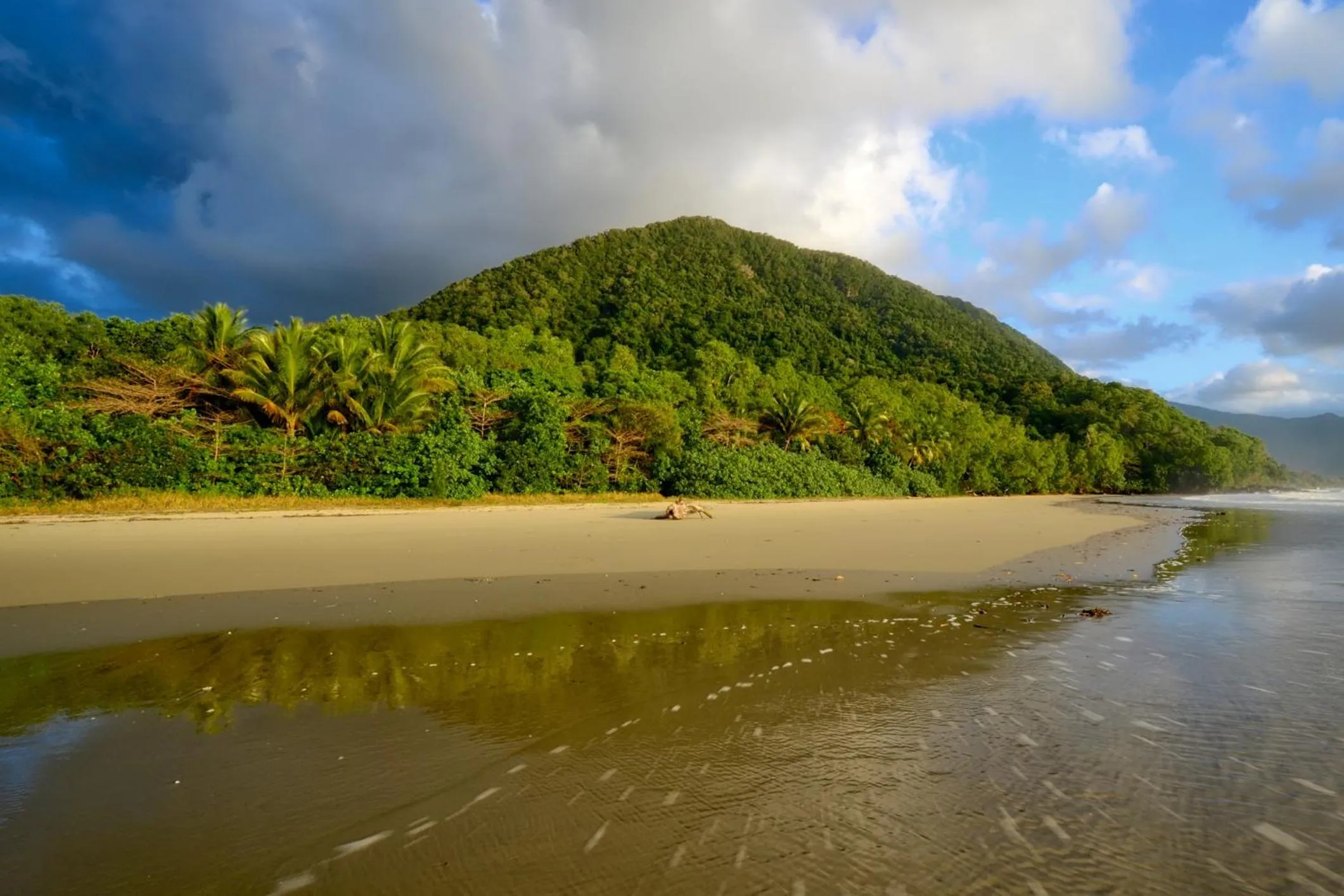 Natural landscape in Thornton Beach Bungalows Daintree