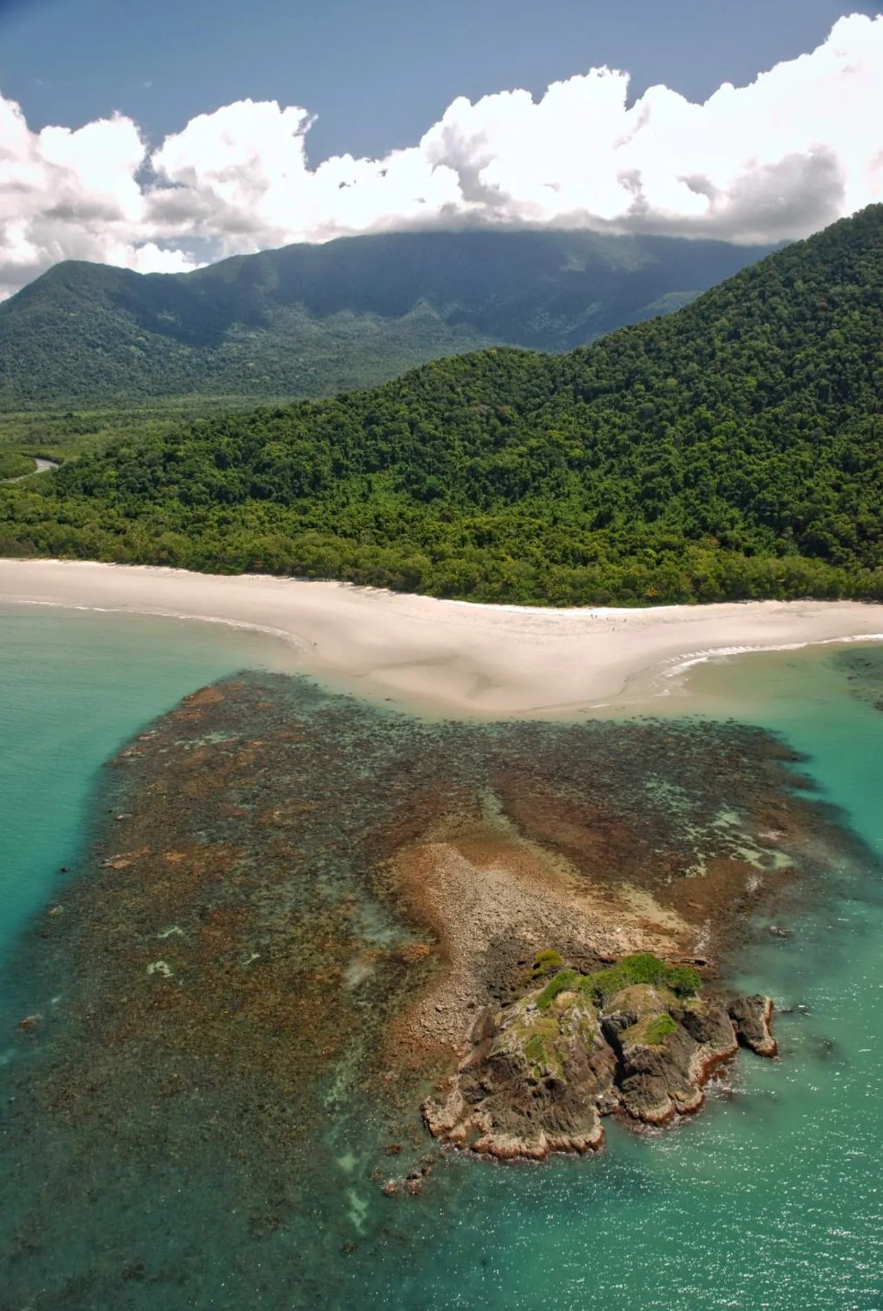 Natural landscape in Thornton Beach Bungalows Daintree
