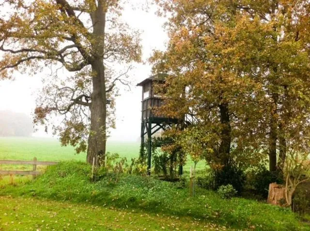 View (from property/room) in Landhotel Waldseiter Hof