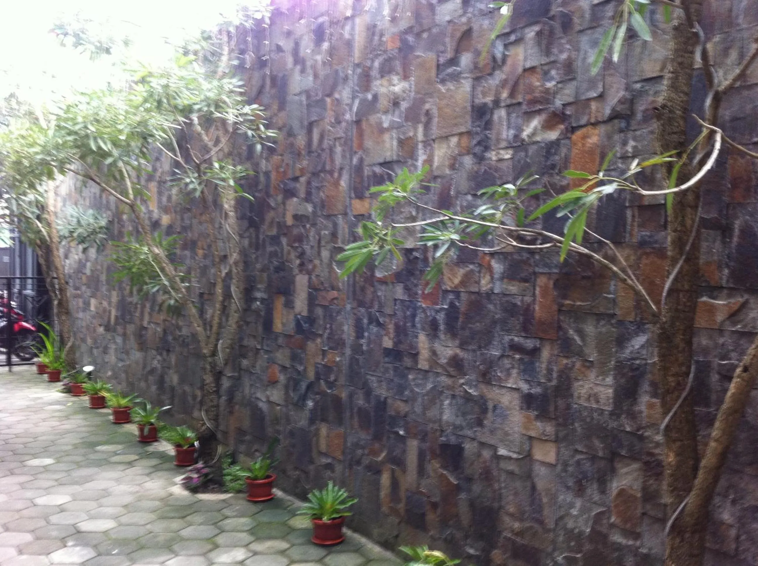 Garden in Votel Viure Hotel Jogjakarta