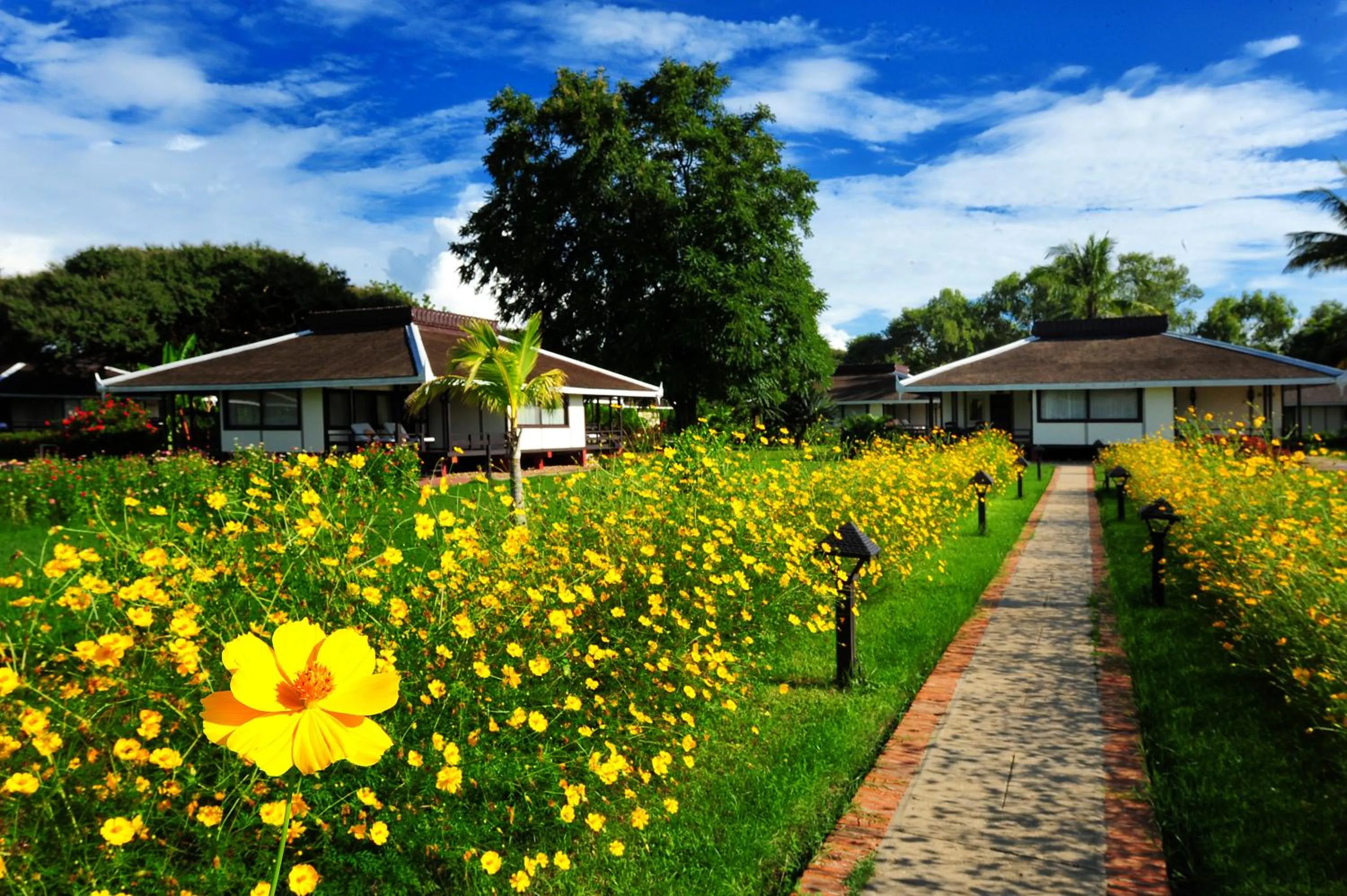 Garden in Bagan Thiripyitsaya Sanctuary Resort
