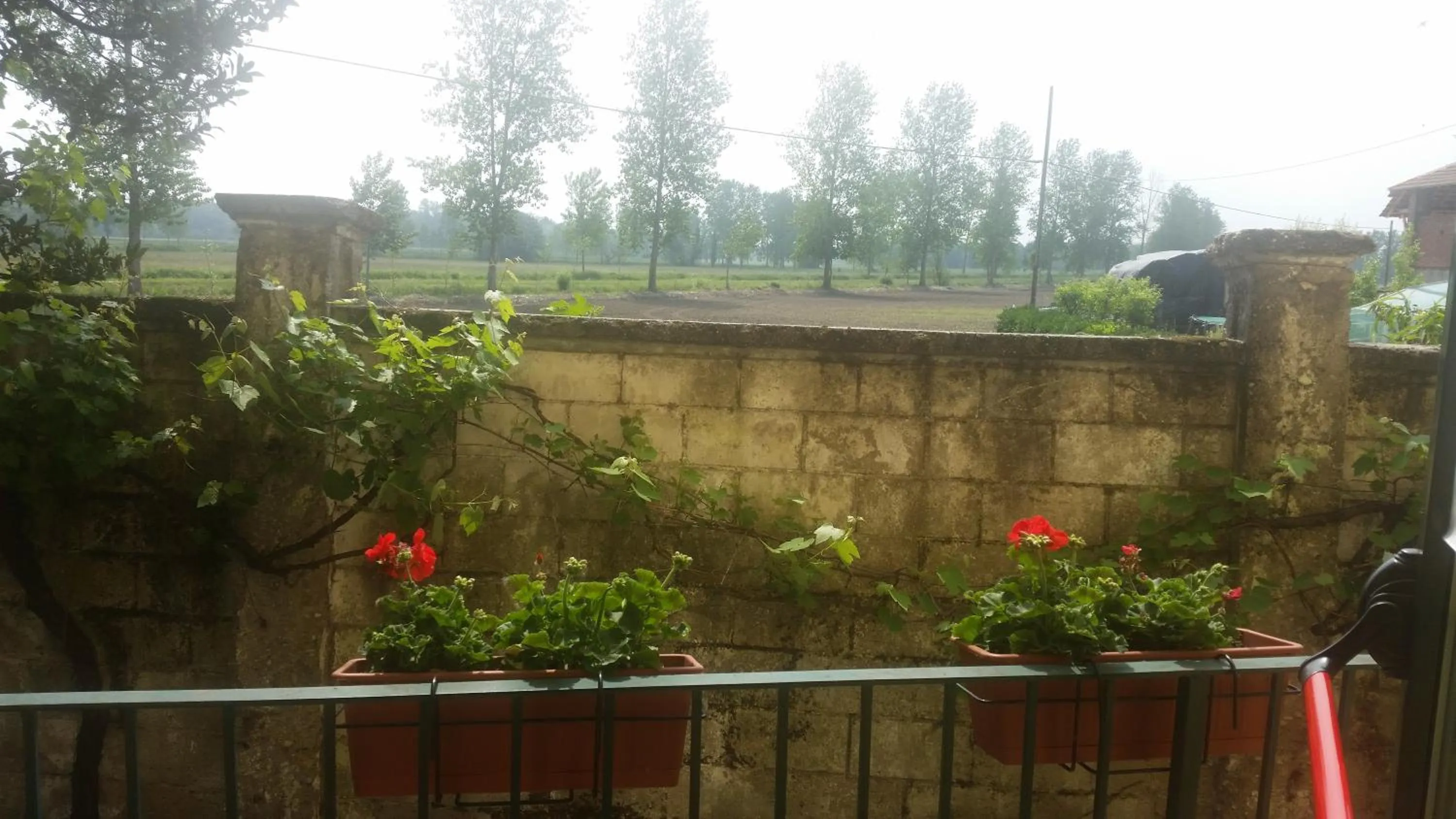 Other in Hotel La Pendola