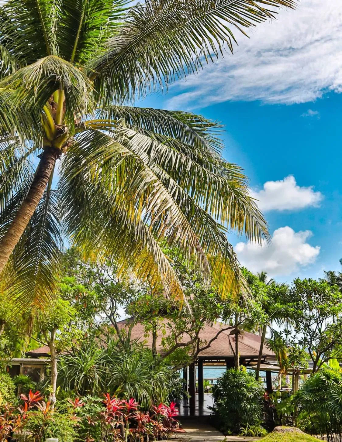 Restaurant/places to eat in Shantaa Resort, Kohkood