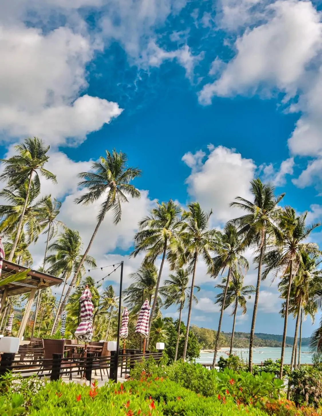 Restaurant/places to eat in Shantaa Resort, Kohkood