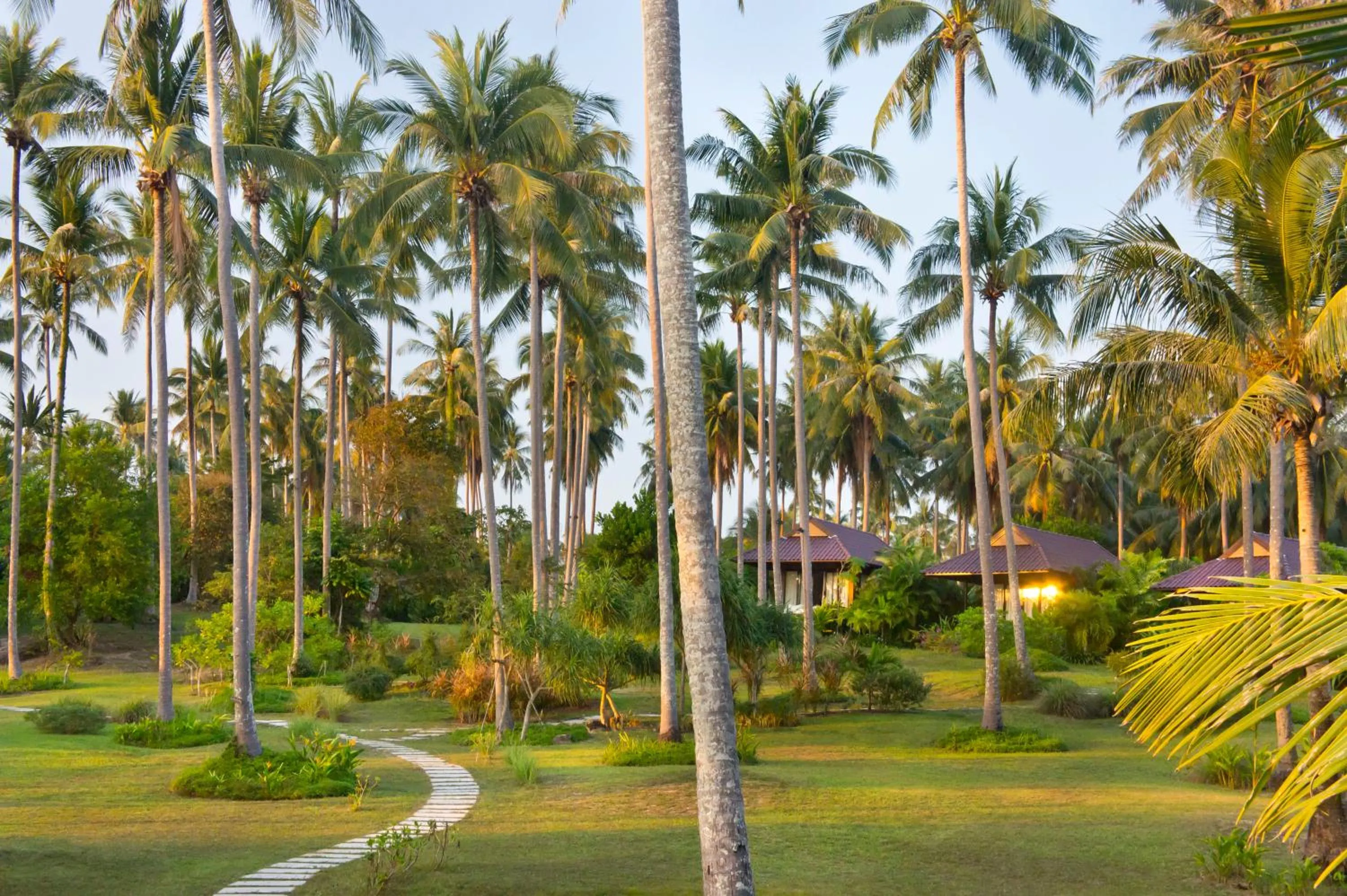 Garden in Shantaa Resort, Kohkood