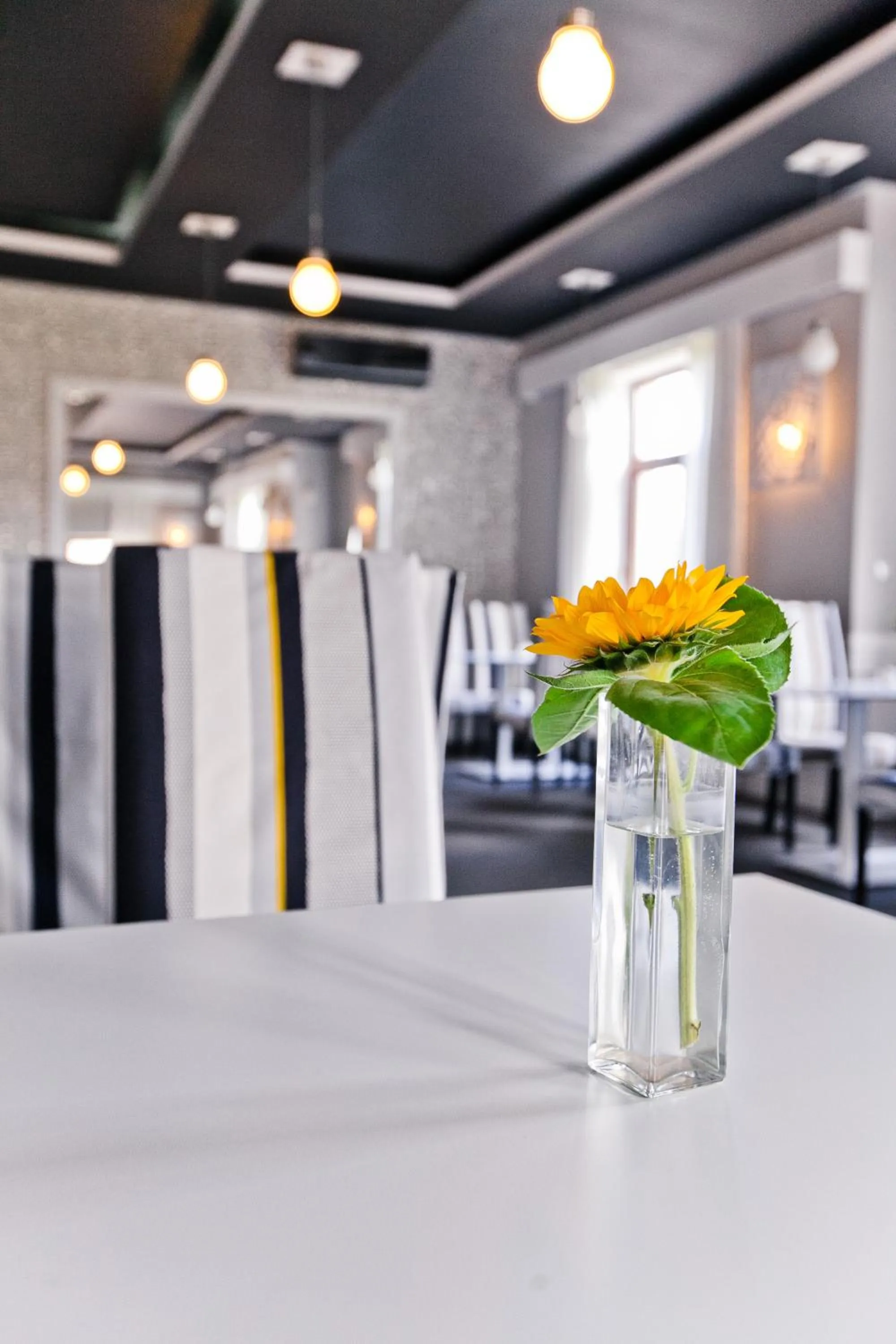 Restaurant/places to eat in Hotel Sulbin