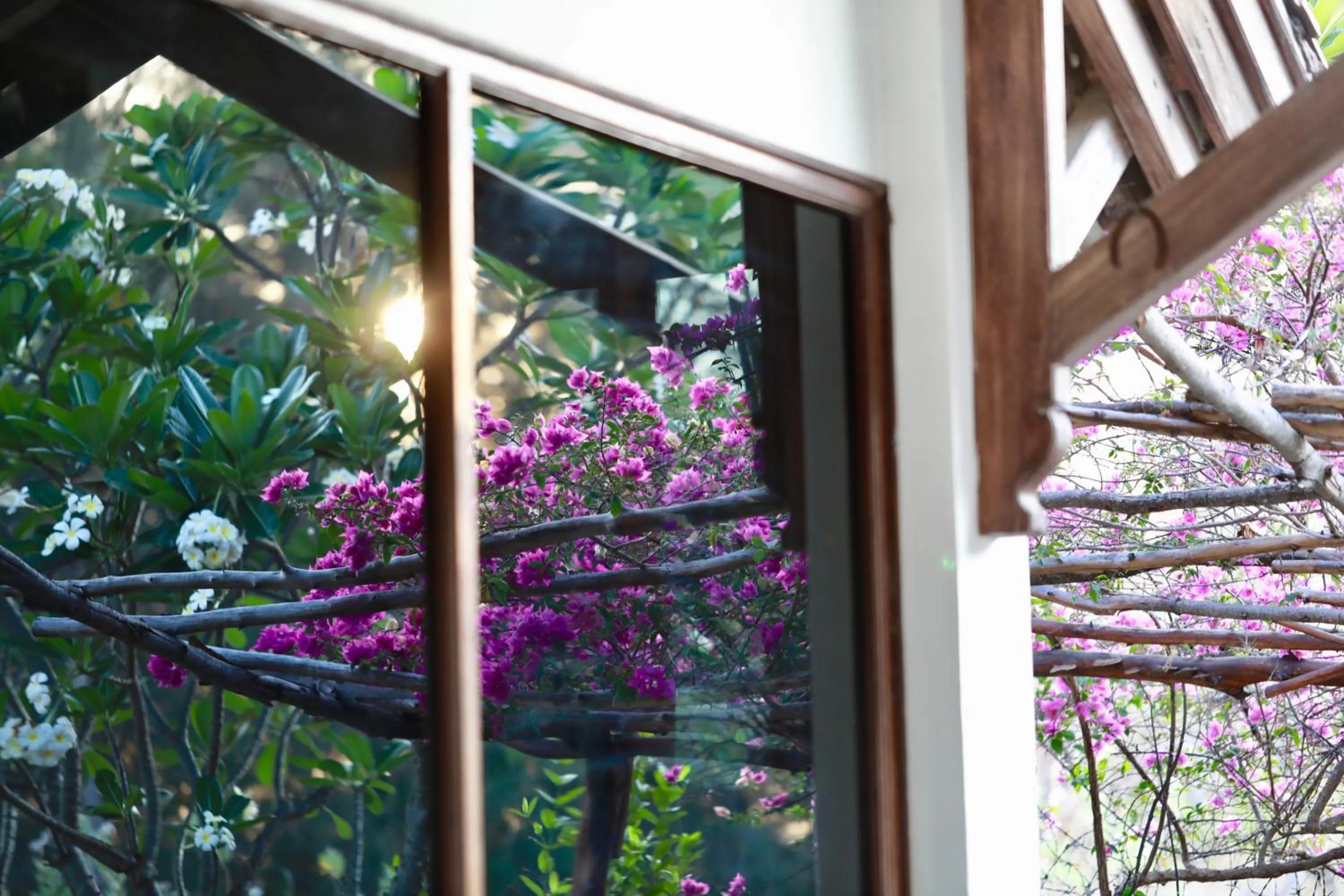 Patio in Villa Sunset Beach