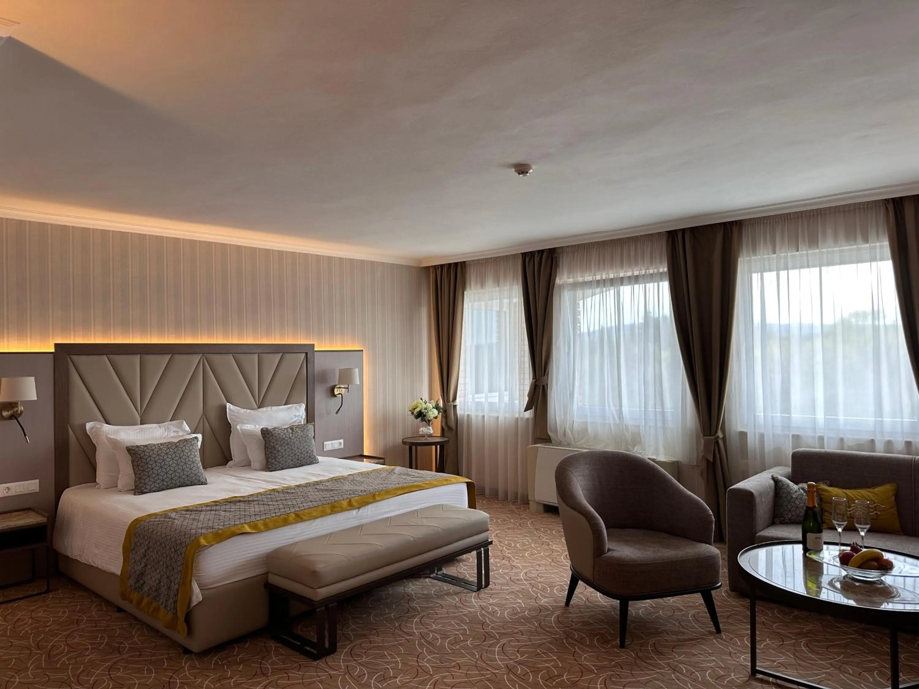 Living room, Bed in Hissar Spa Hotel