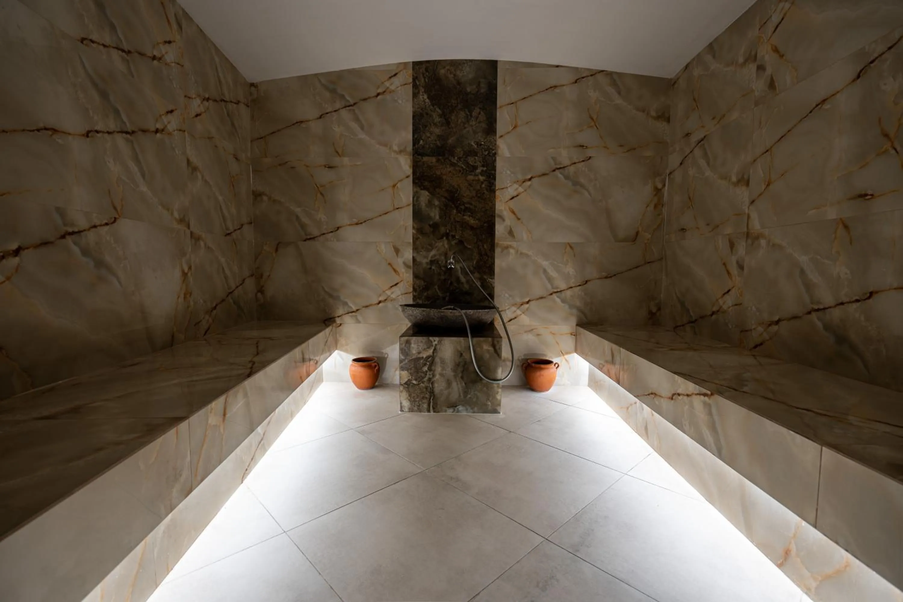 Steam room in Hissar Spa Hotel