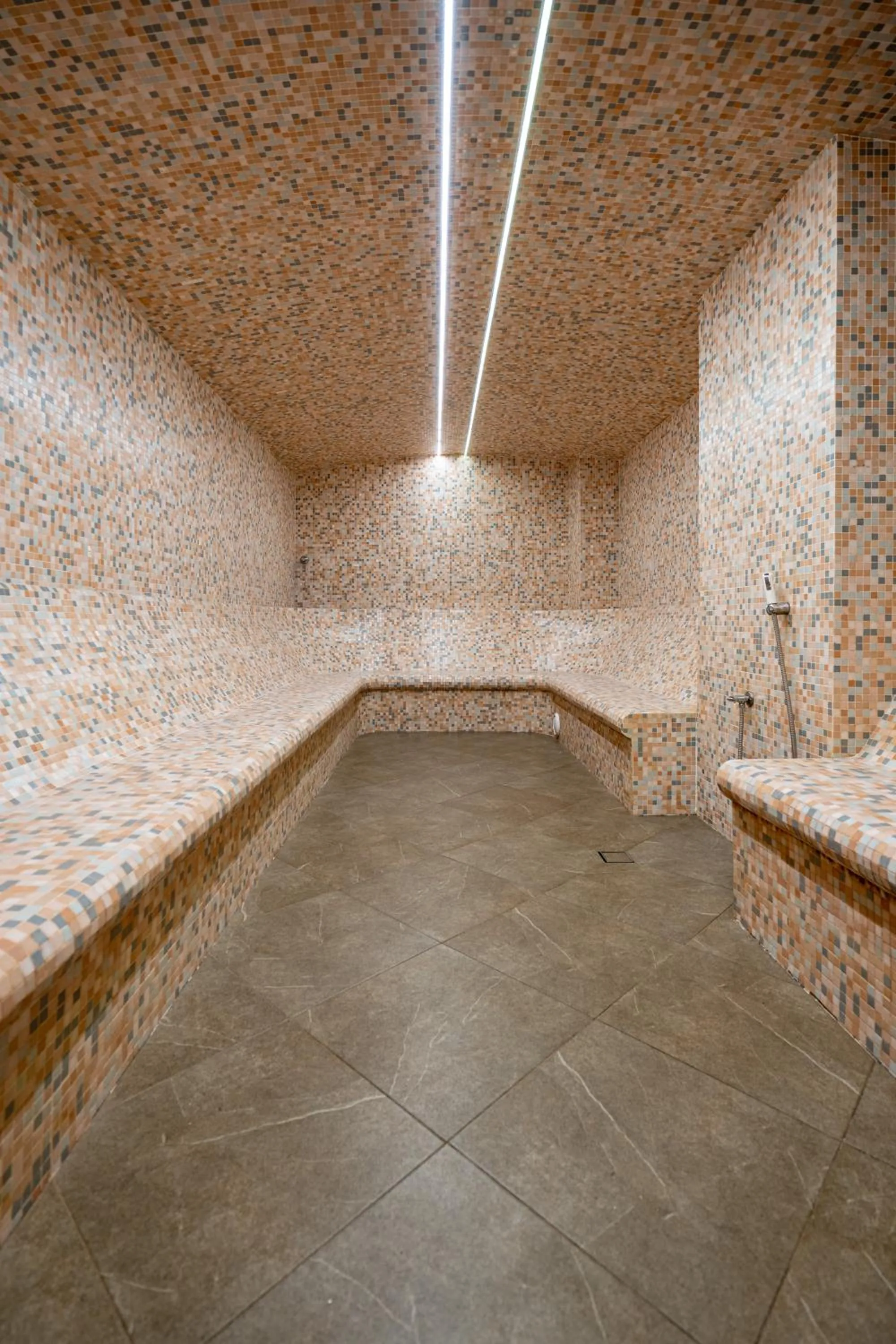 Steam room in Hissar Spa Hotel