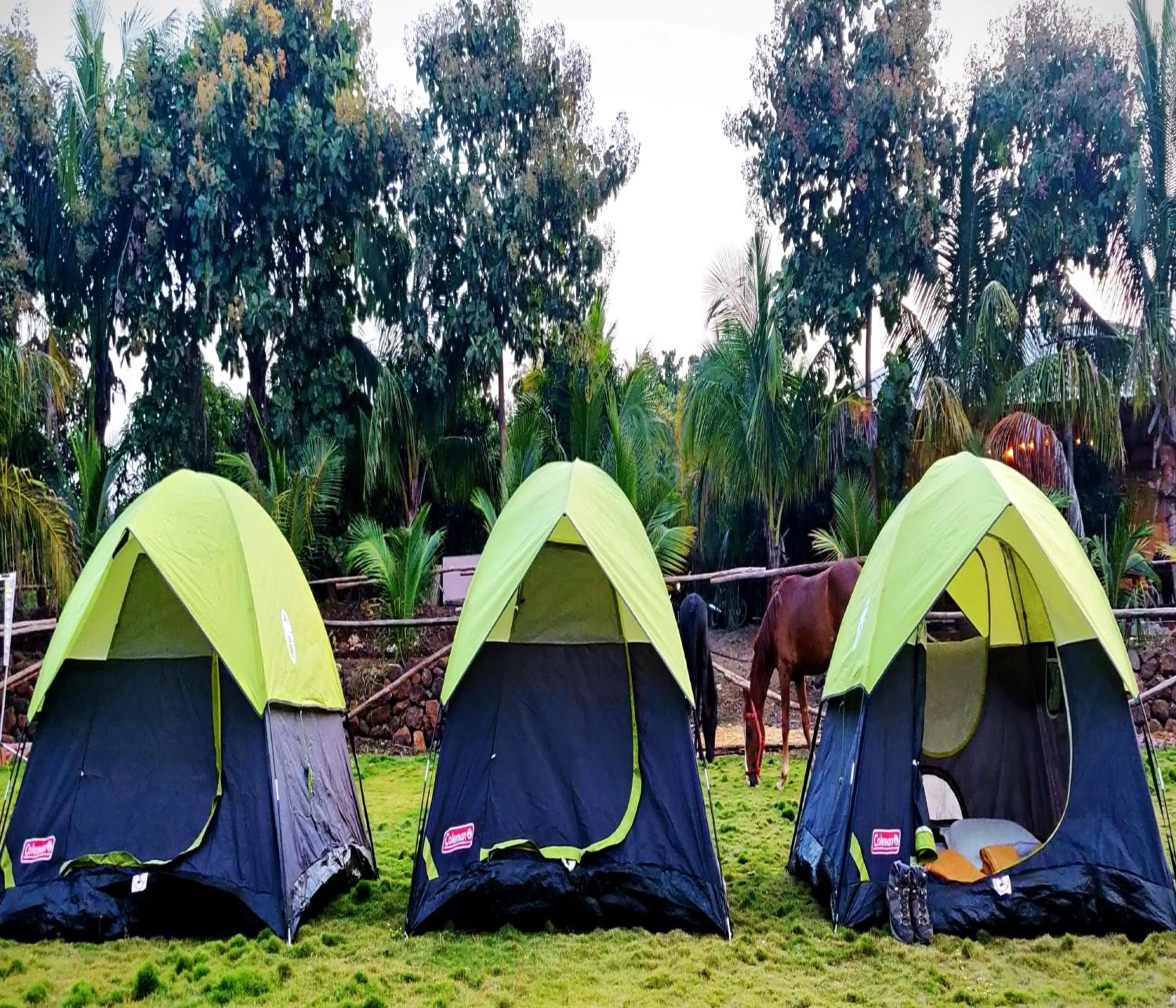 Garden view in Aranyagiri Countryside Resort, Near Pune