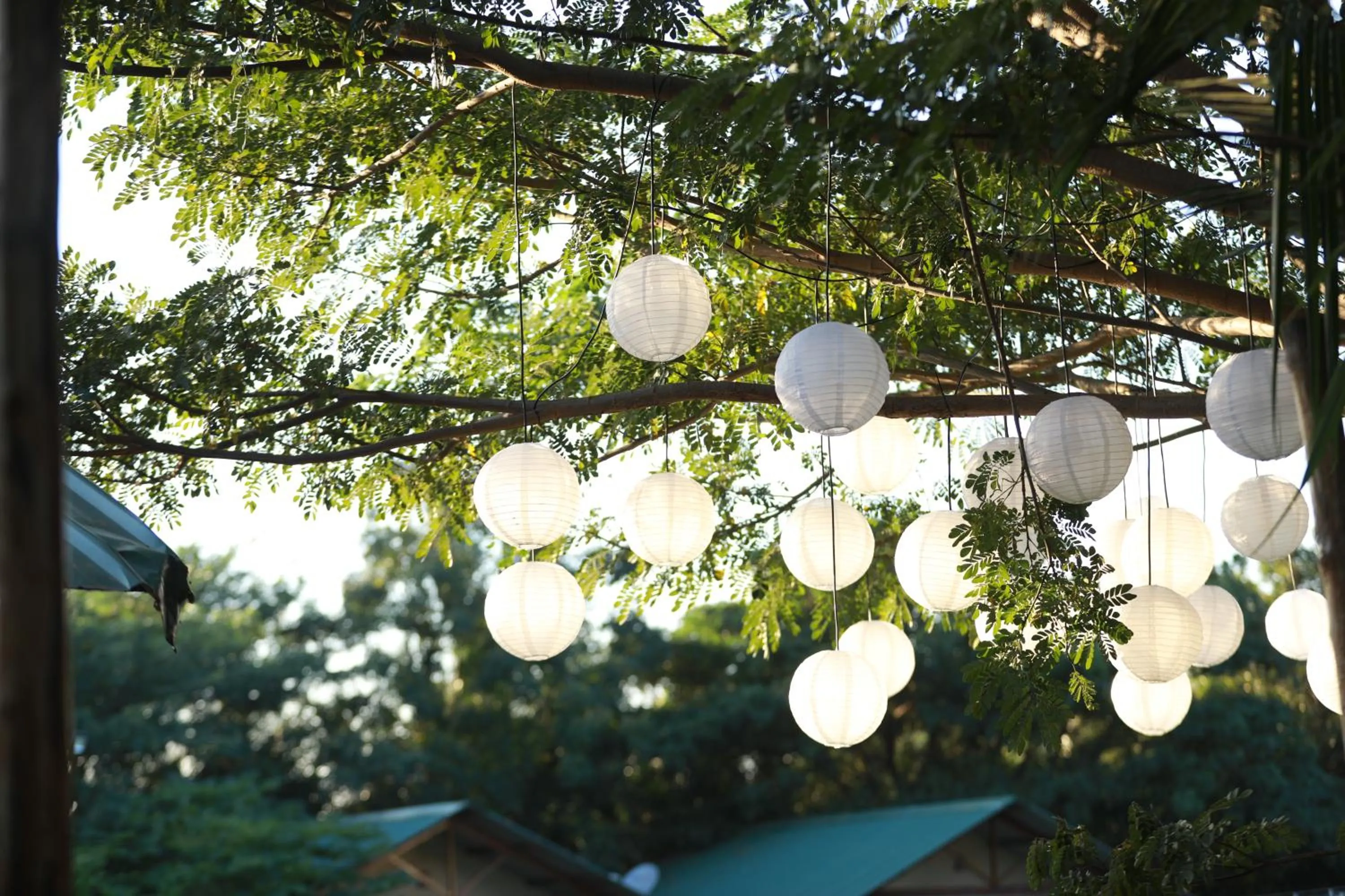 Garden in Aranyagiri Countryside Resort, Near Pune