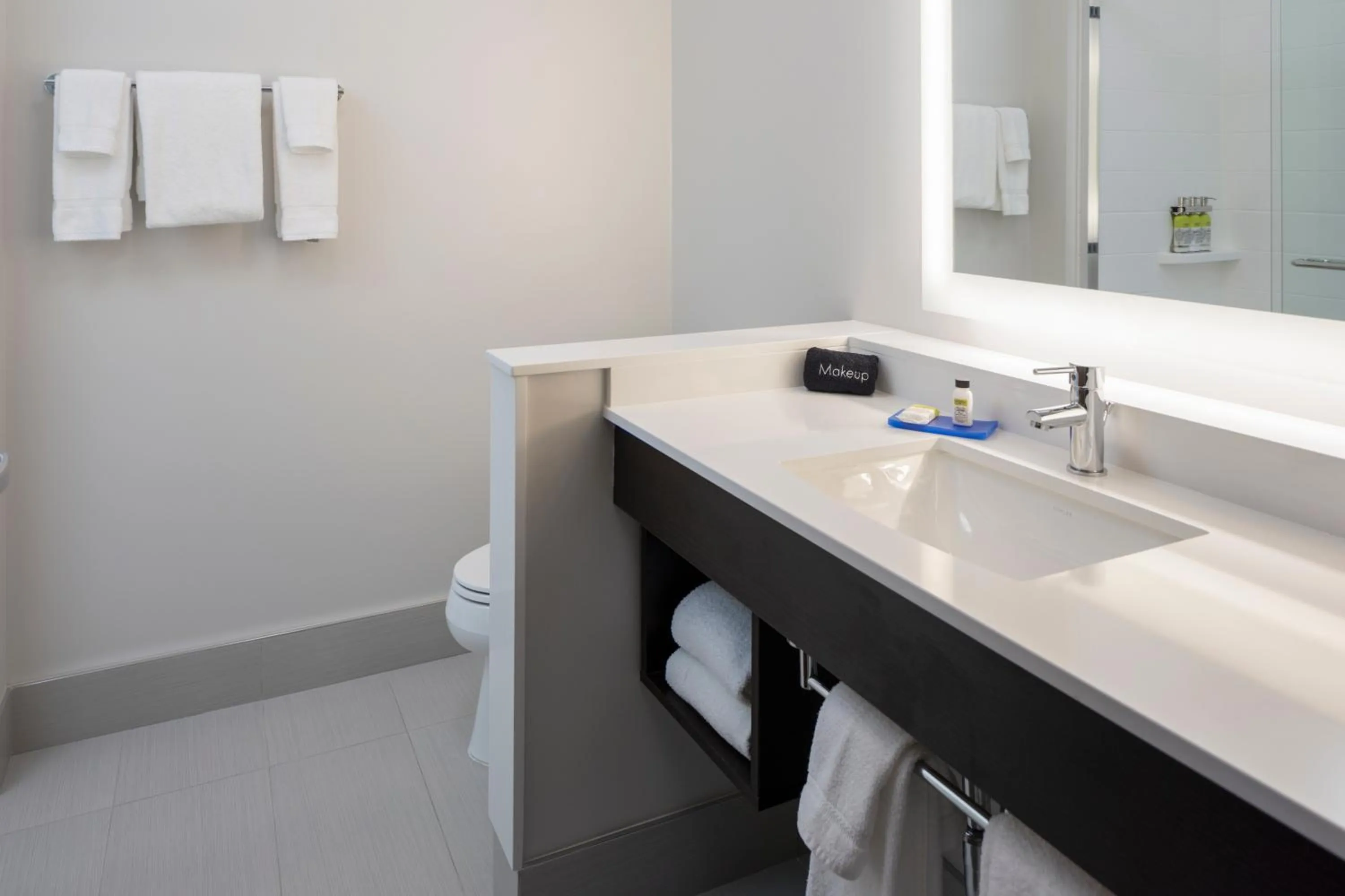 Bathroom in Holiday Inn Express & Suites - Bourbonnais East - Bradley by IHG