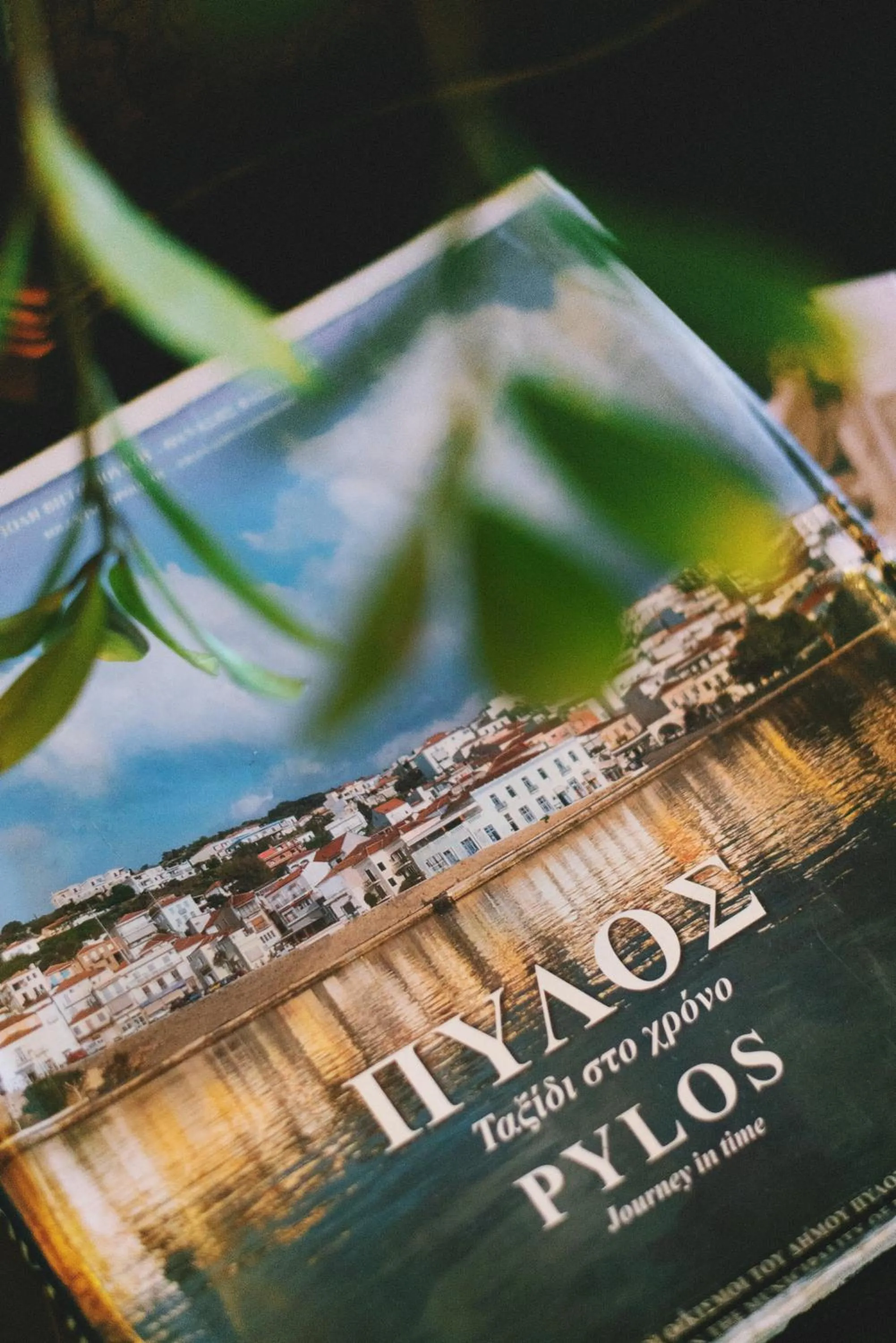 Other in Karalis City Hotel