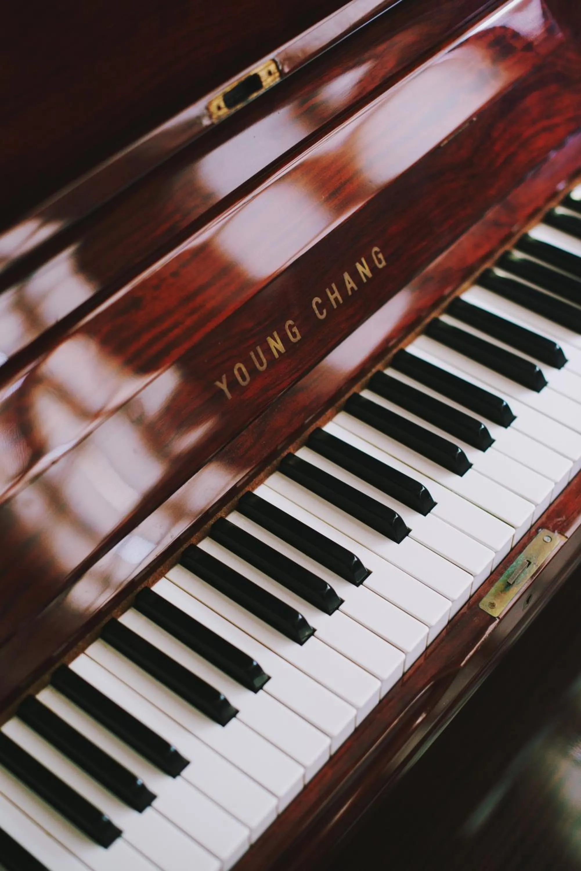 Area and facilities in Karalis City Hotel