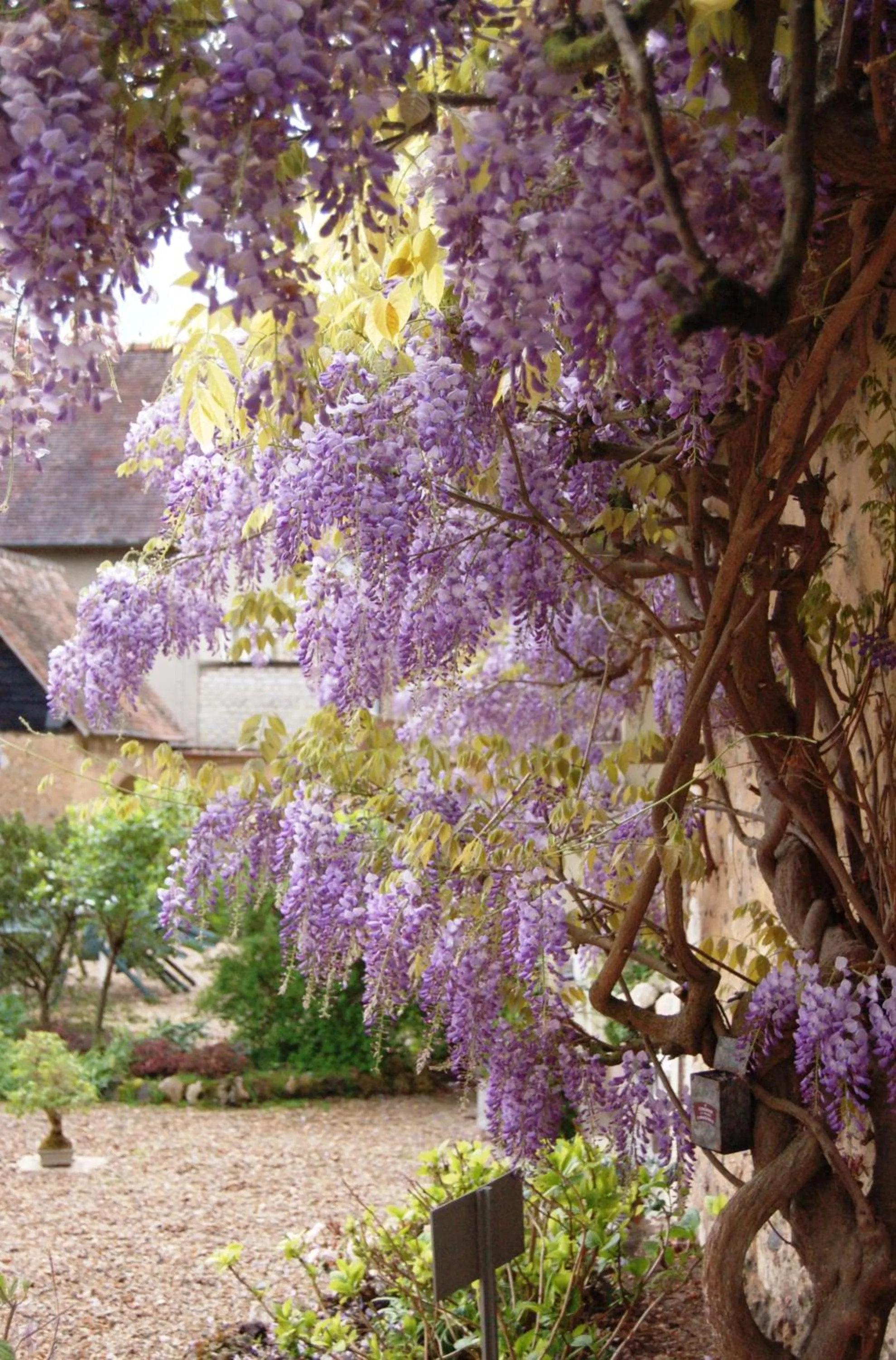 Spring in La Chaiserie