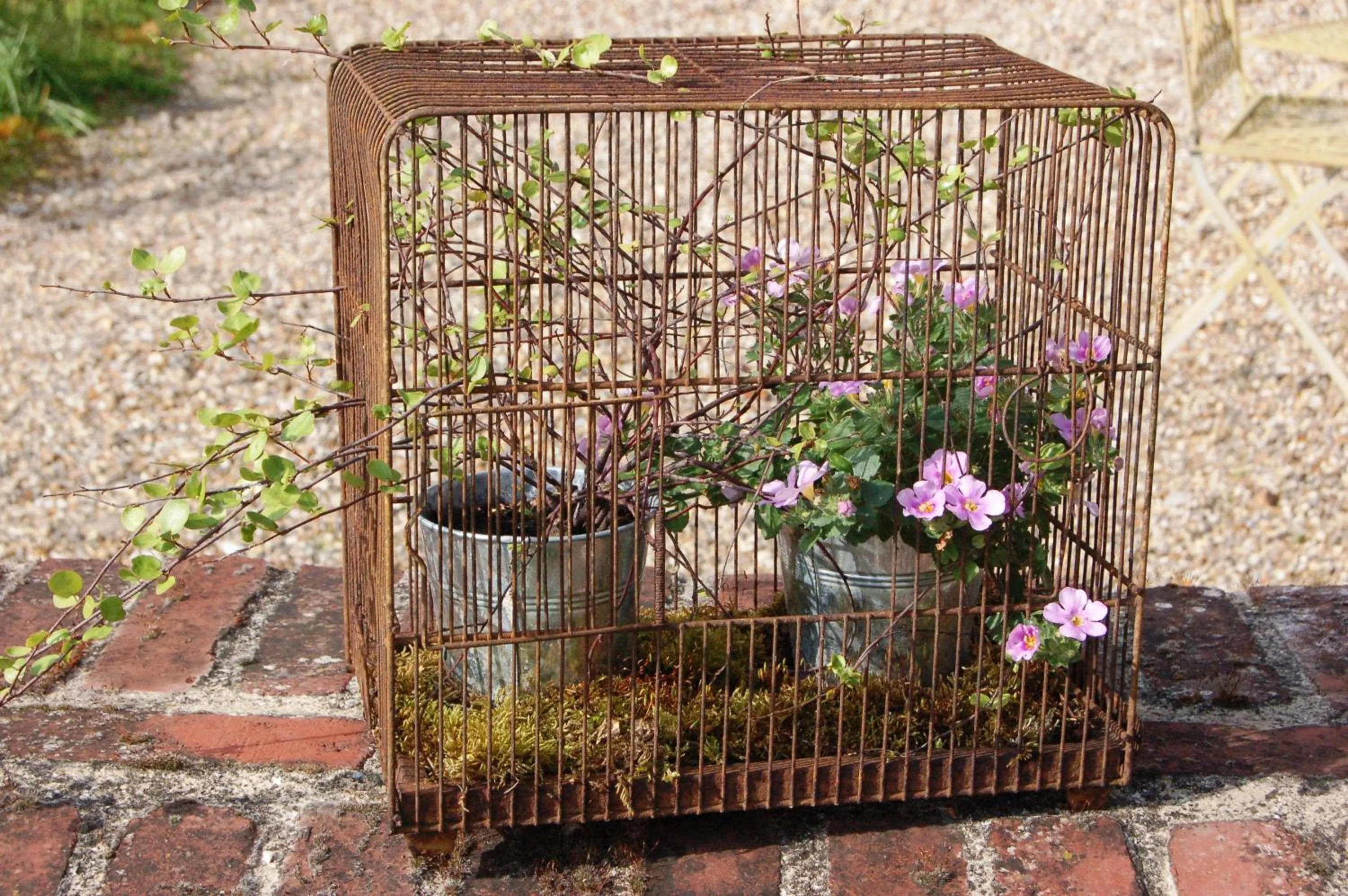 Spring in La Chaiserie