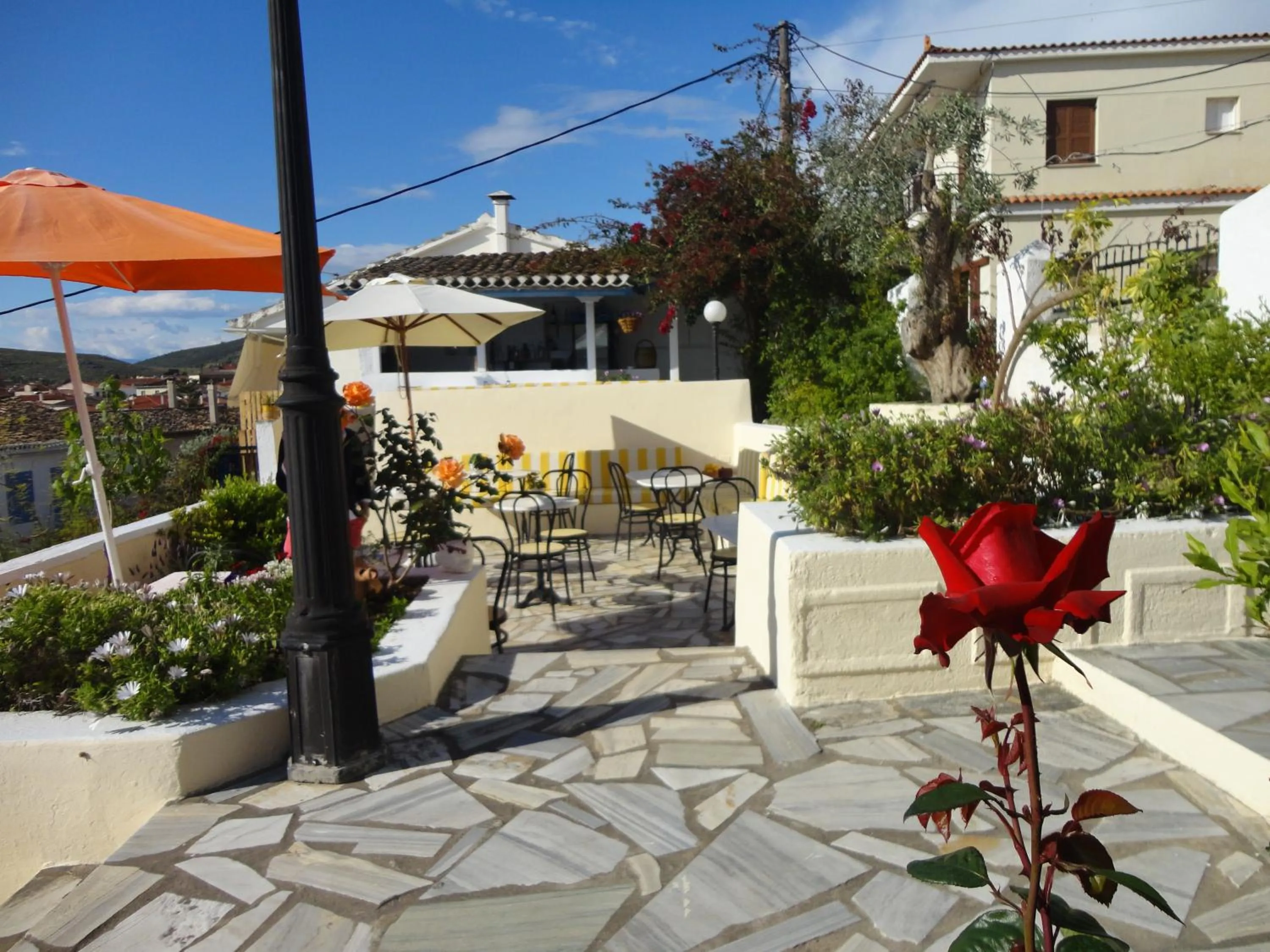 Garden in Galaxa Mansion